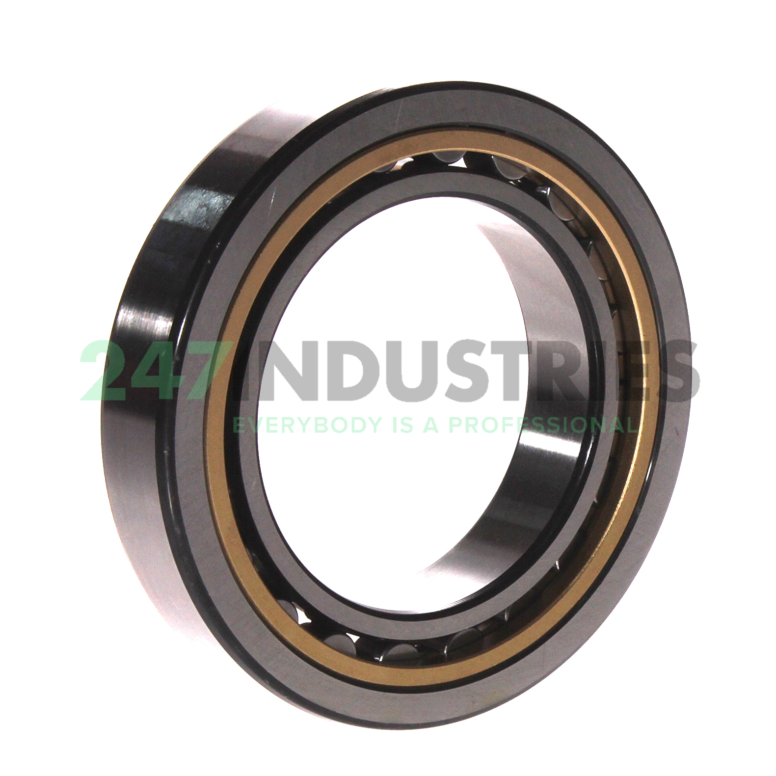 NU1012ML SKF Image 2