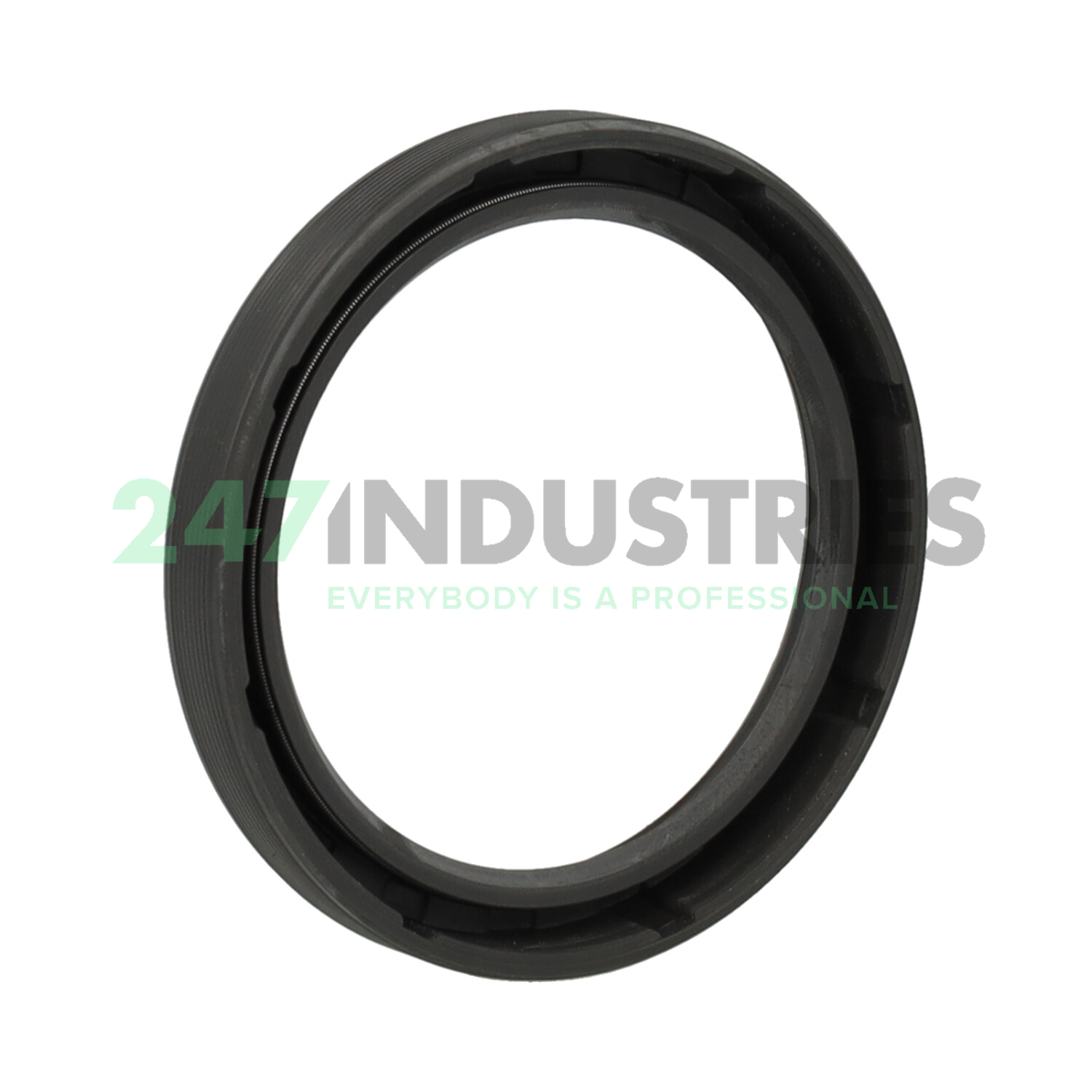CR55X70X10HMS5RG SKF Image 2