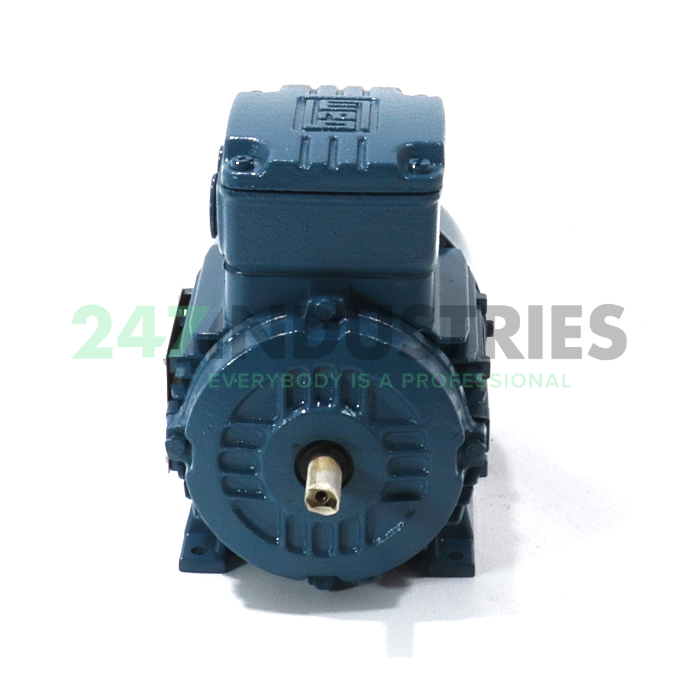 0.25K31AL0632B3 WEG Image 2