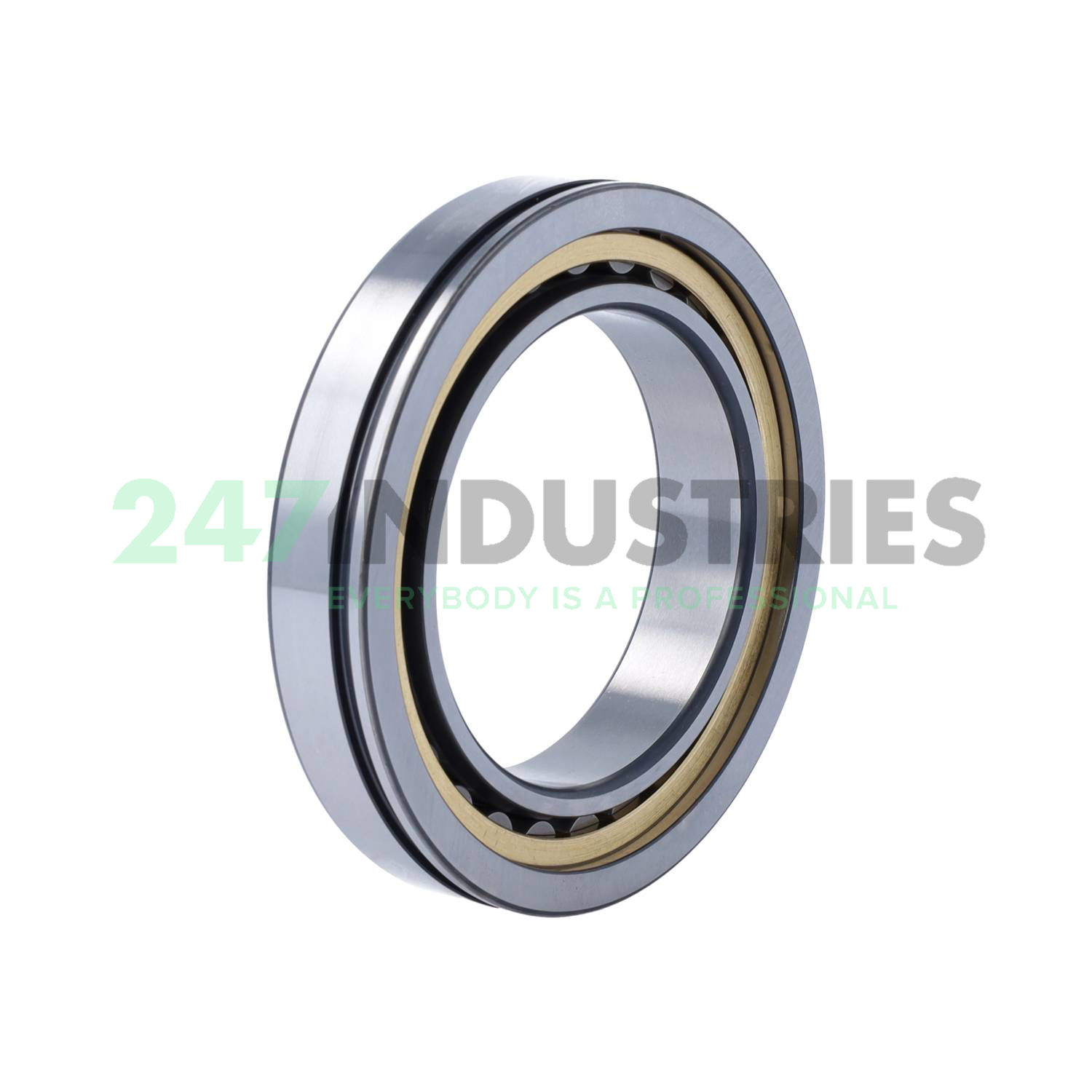 NU1013-XL-N-M1A-C3 FAG Image 2