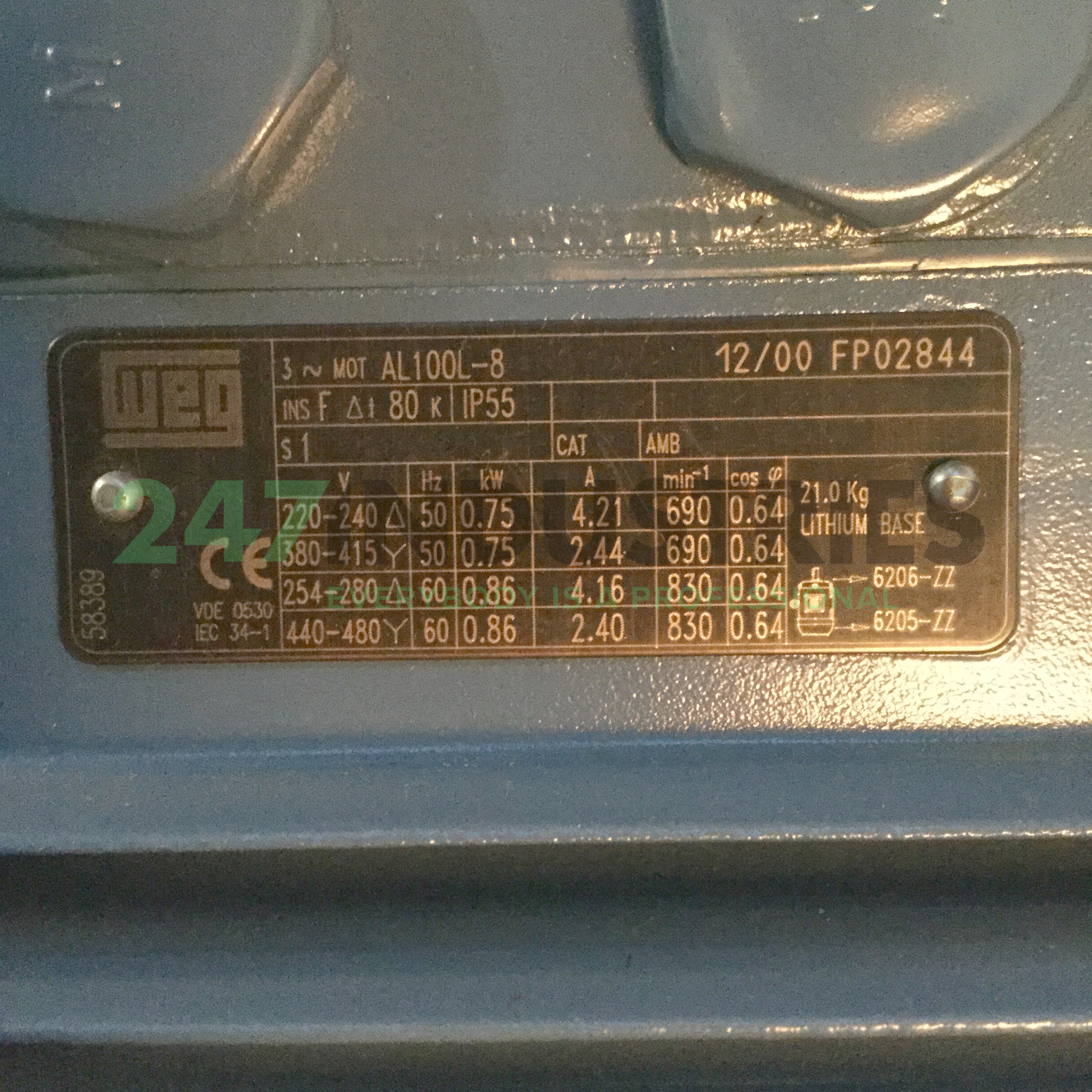 0.75K31AL0100L8B5 WEG Image 4