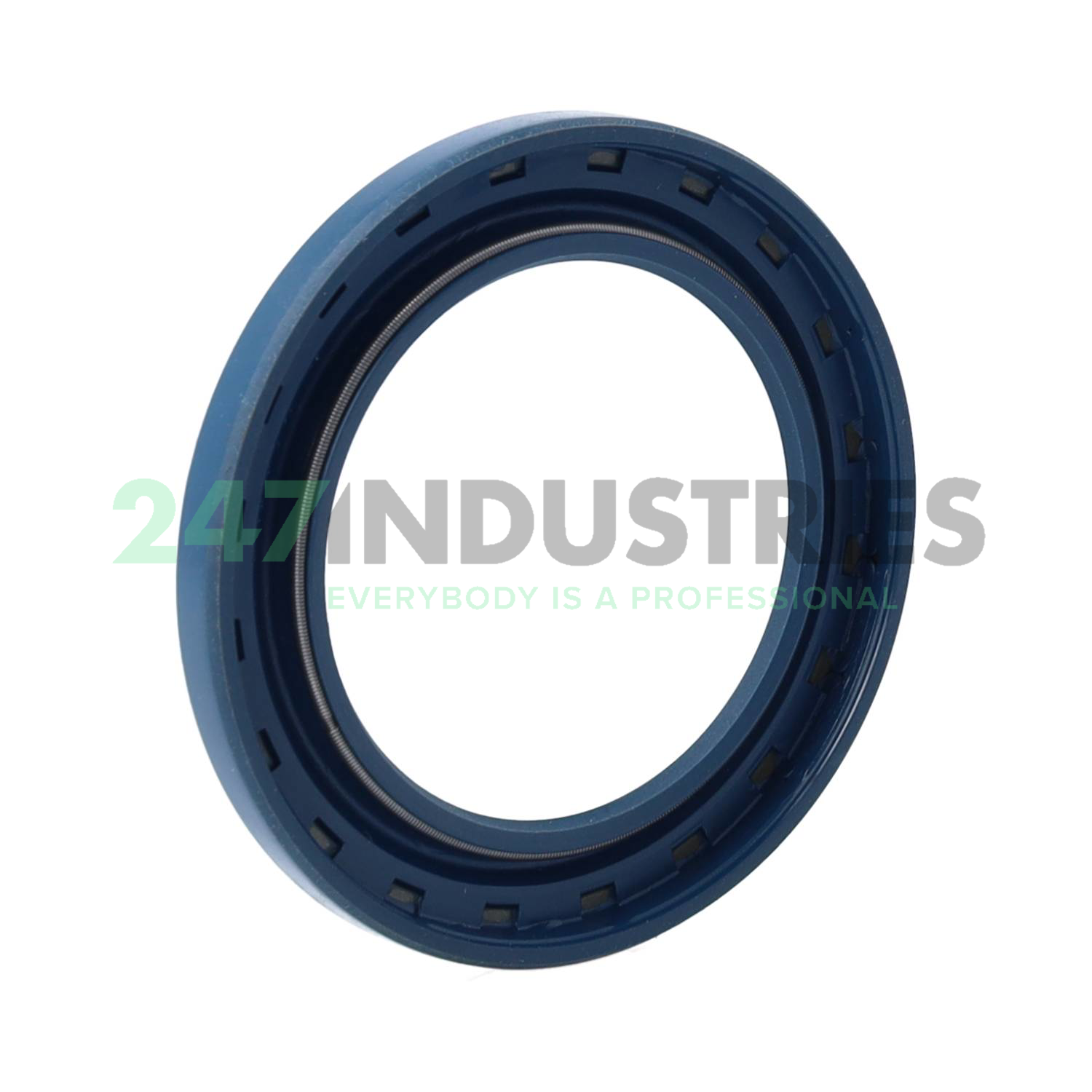 CR45X66X6HMS46R SKF Image 2