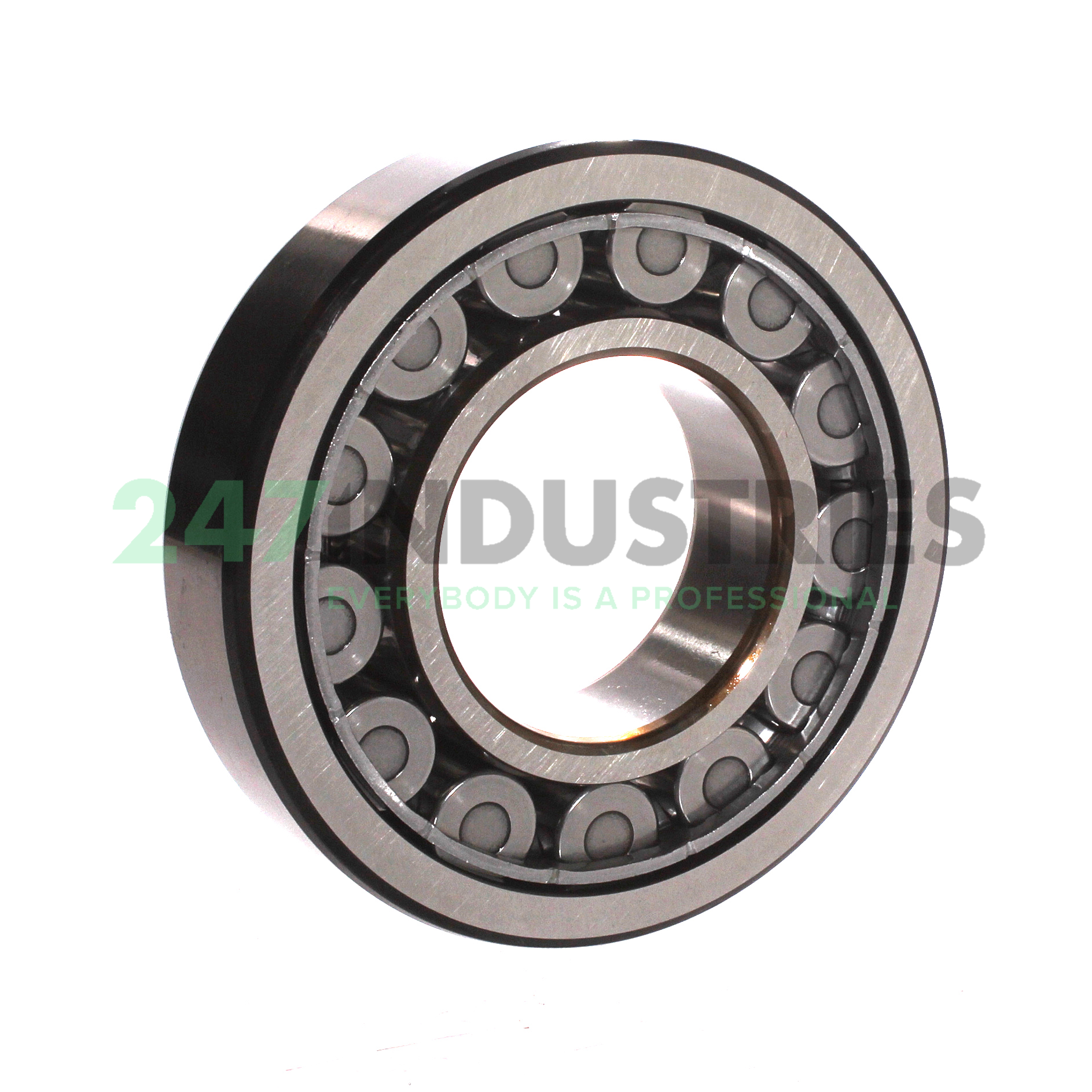 NJ313ECJ SKF Image 2