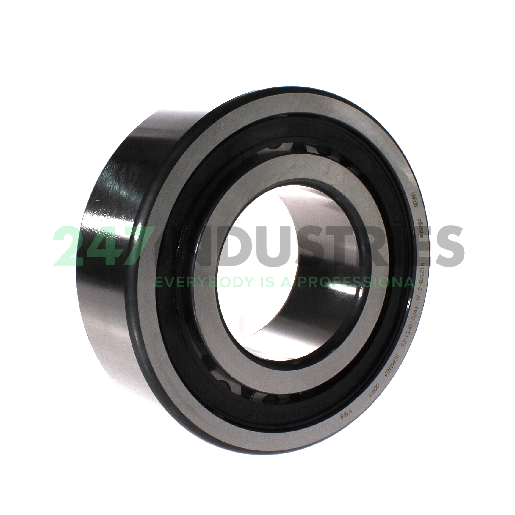 NJ2318-E-XL-TVP2-QP51-C5 FAG