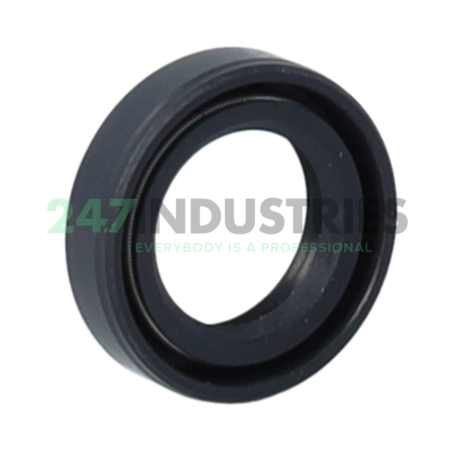 TC13X20X5 TTO Oil seals Image 2