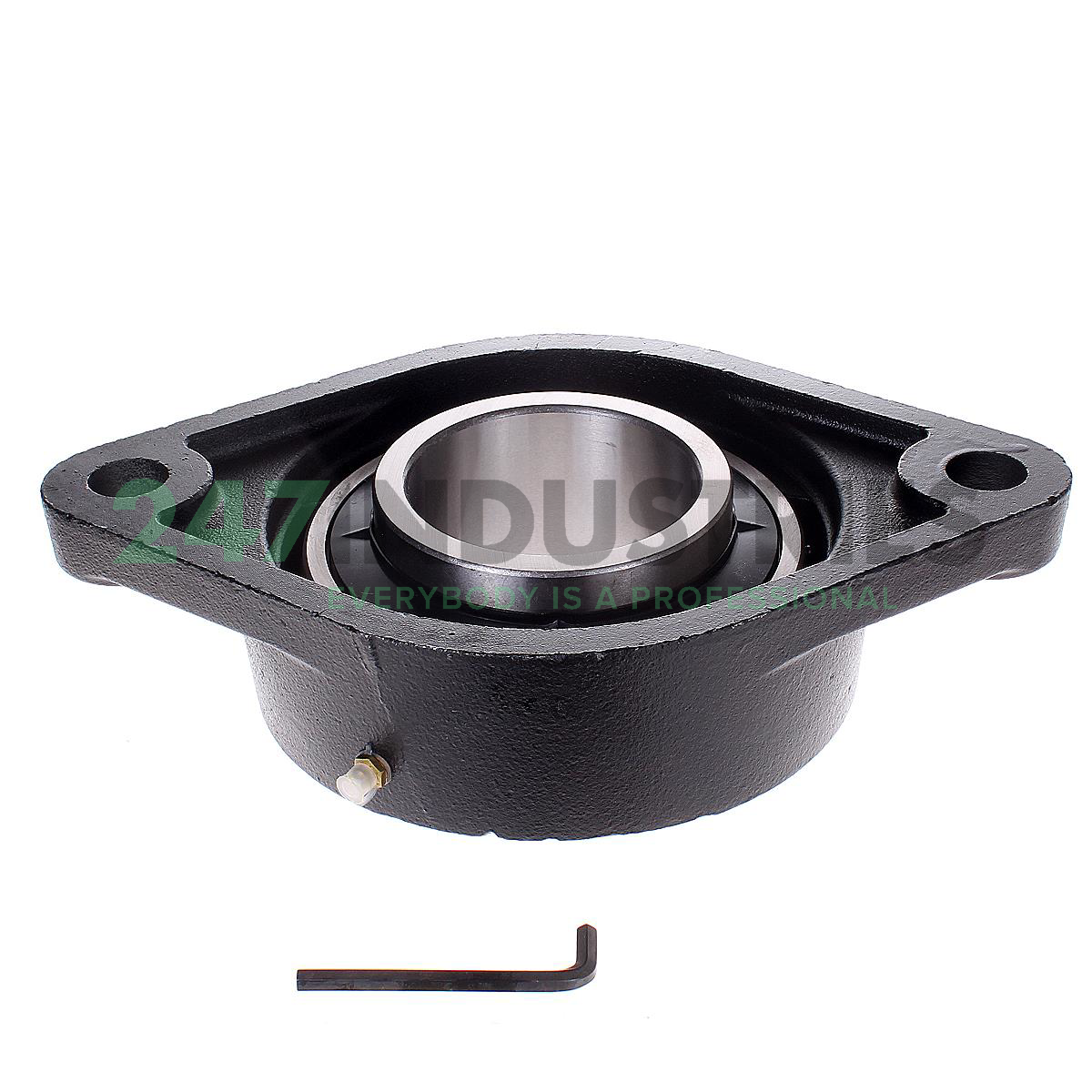 UCFL218-56 Felstrom Image 2