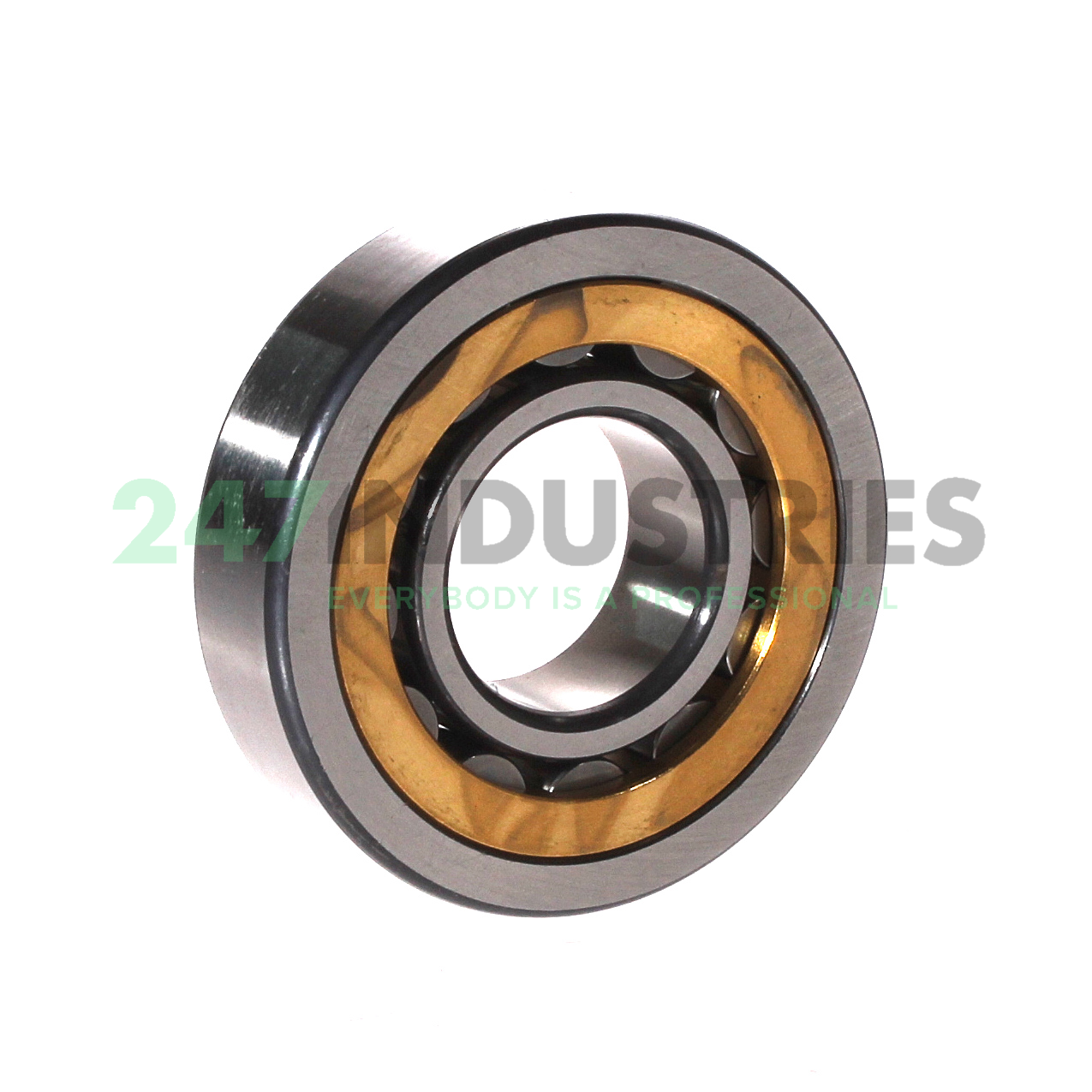 NU306-E-XL-M1A FAG Image 2