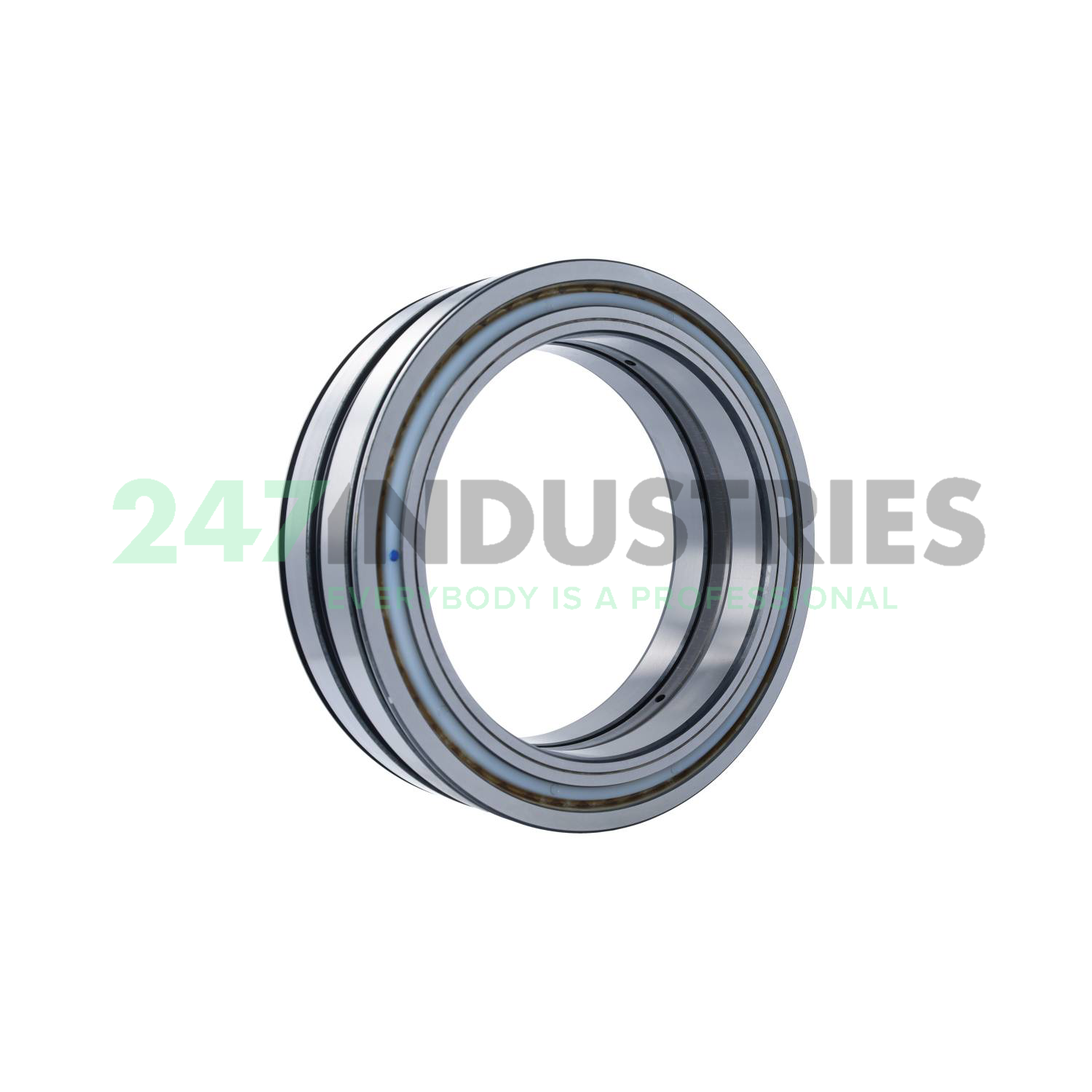 SL04200-D-PP-2NR INA Image 2