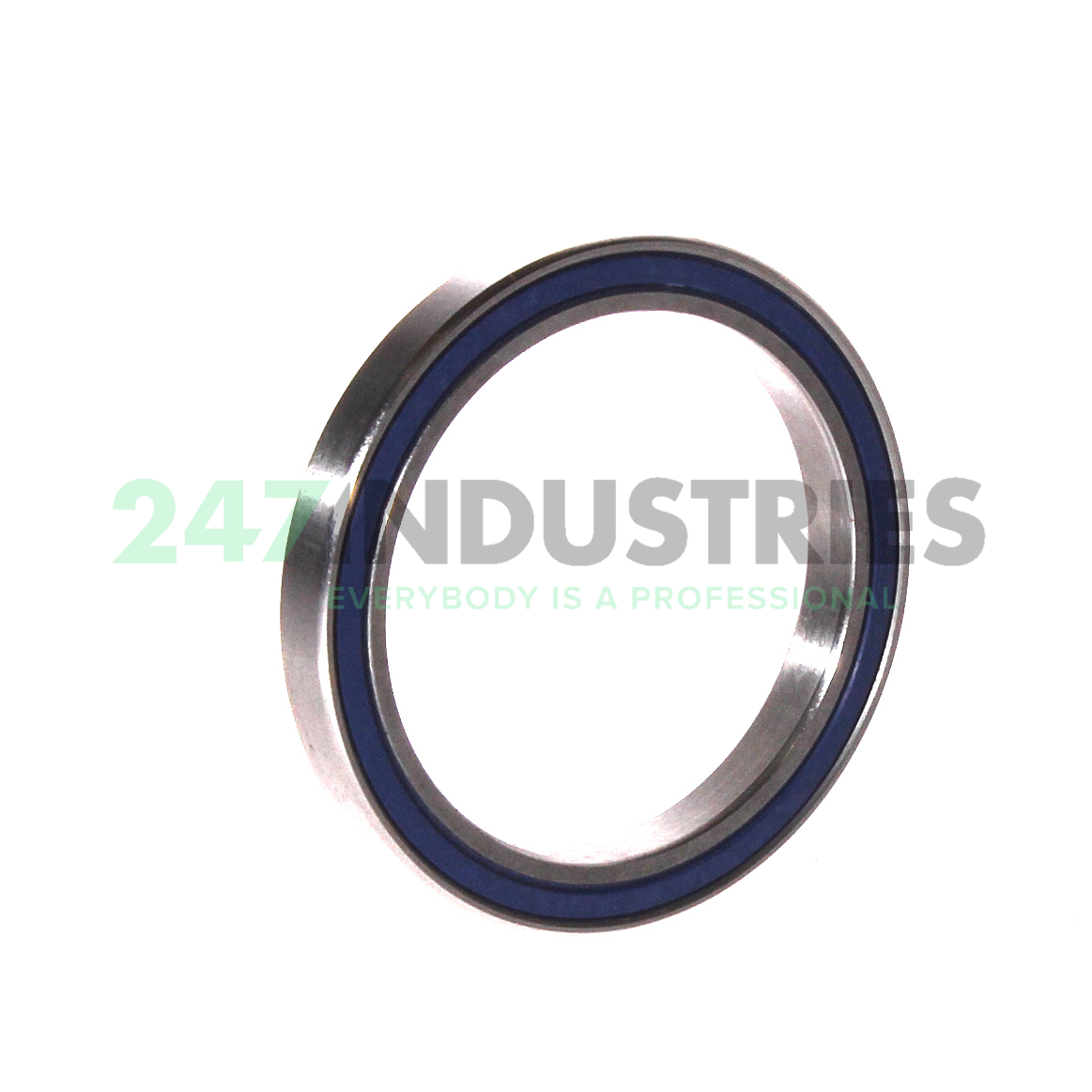 SS61809 2RS Neutral Image 2