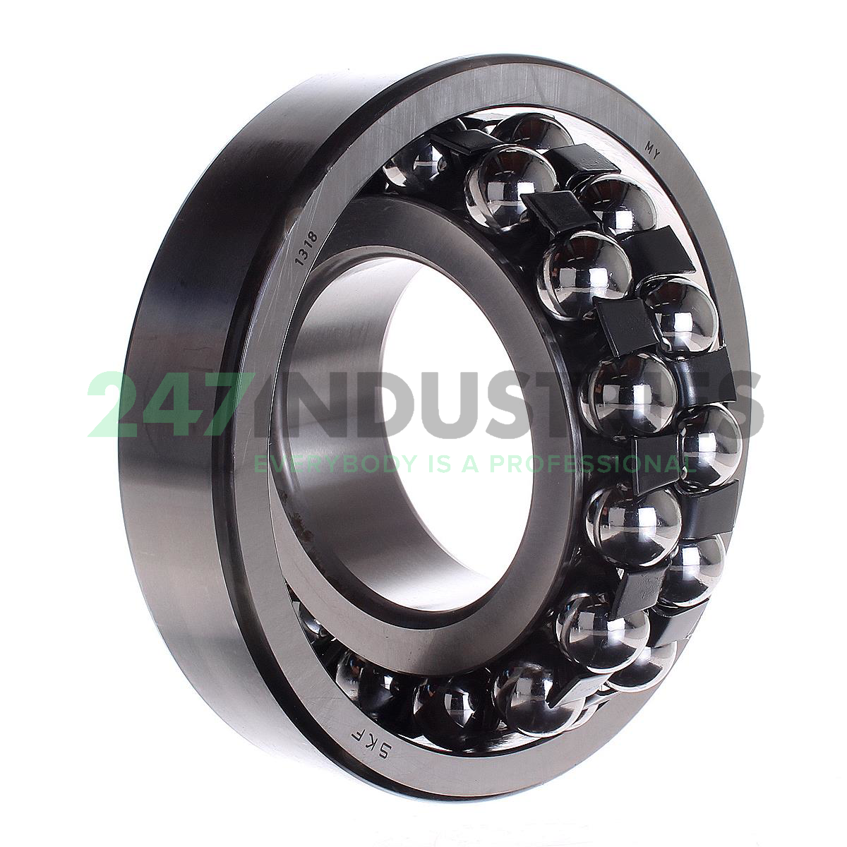 1318 SKF Image 3