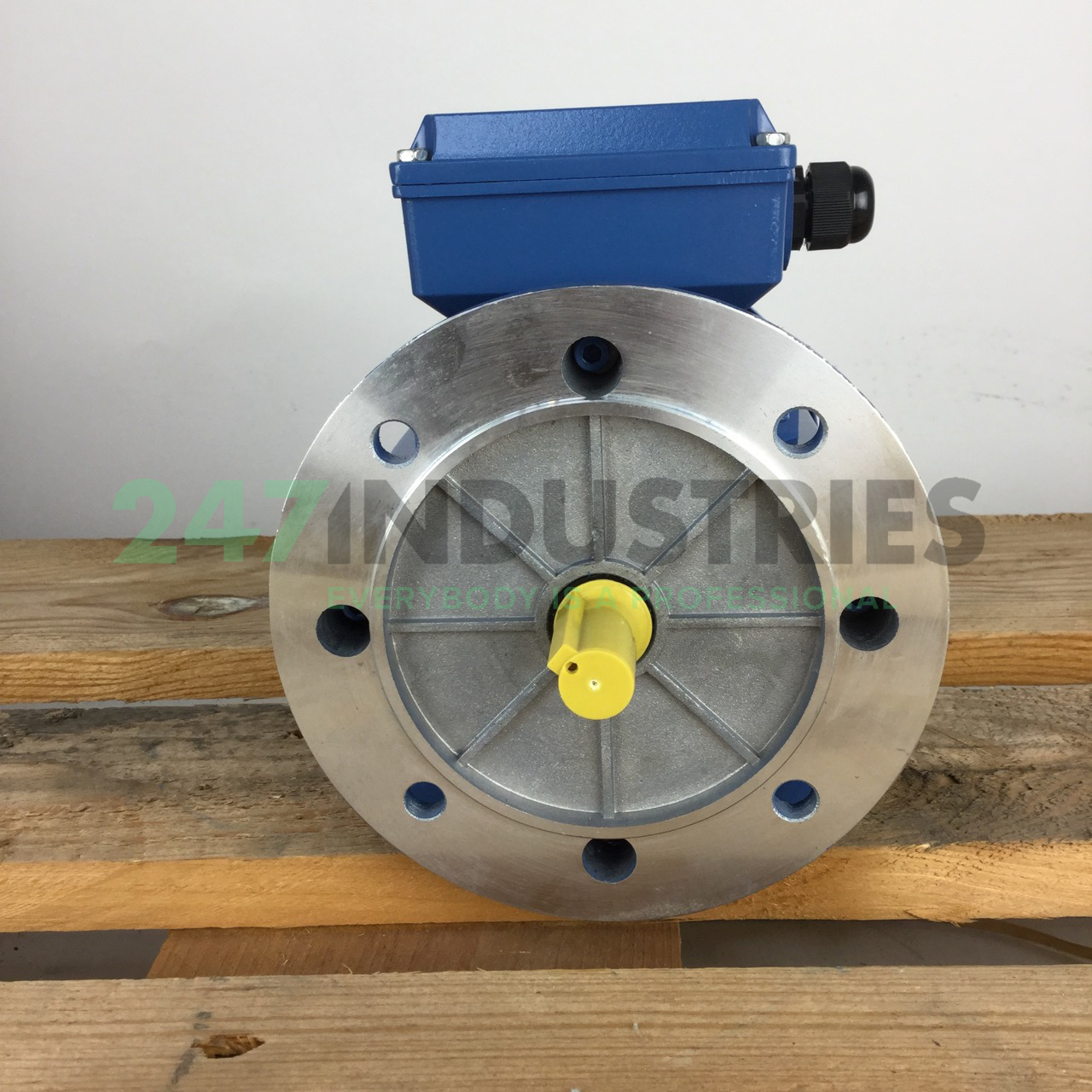 MS7124B35 Gibbons Image 4