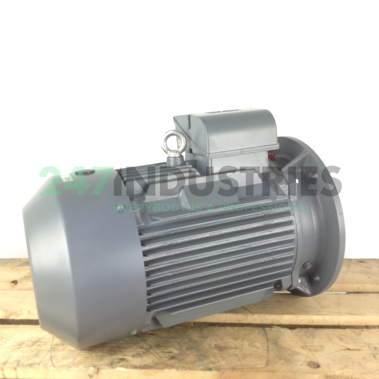 Y-IE2-160L4 Sovem Image 3