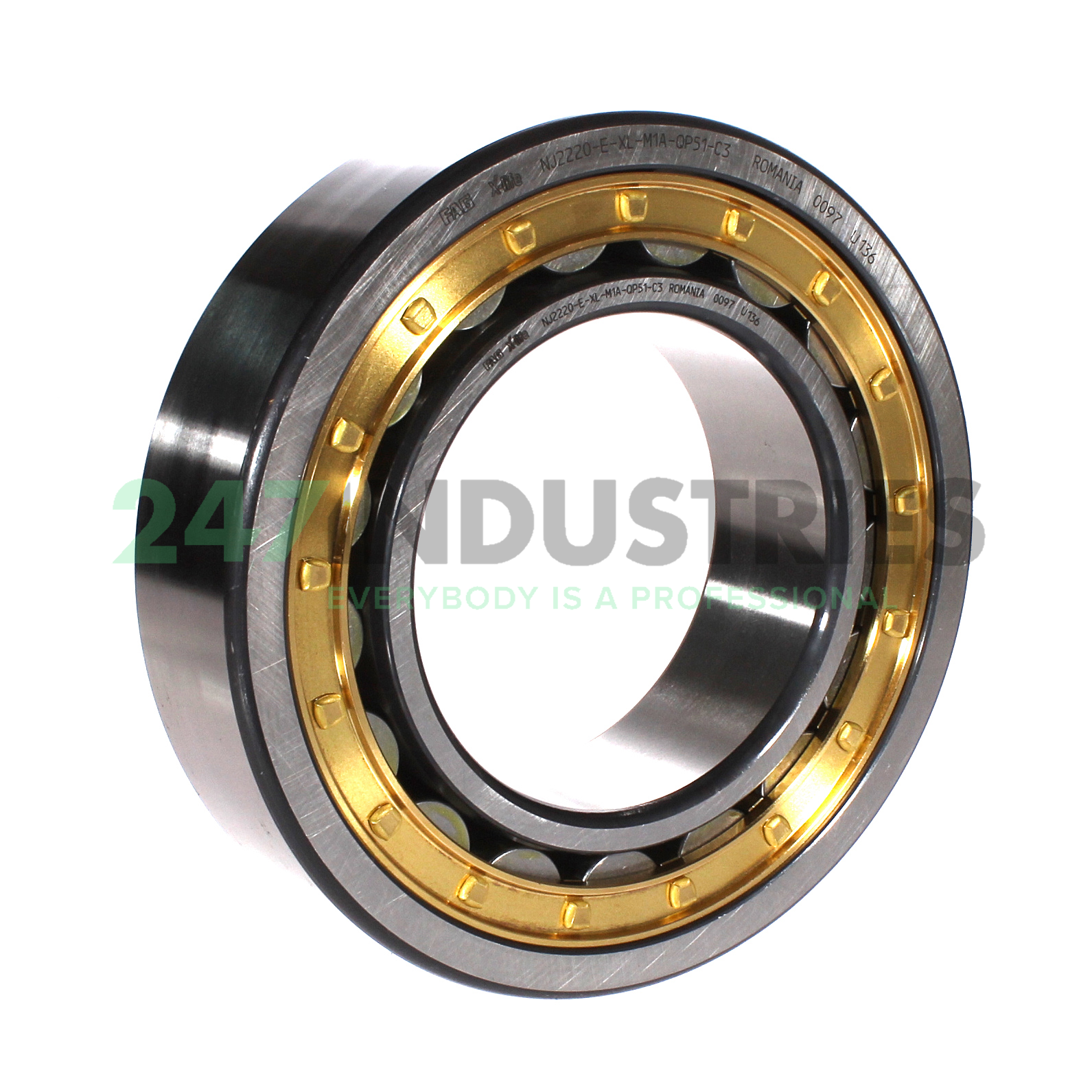 NJ2220-E-XL-M1A-QP51-C3 FAG