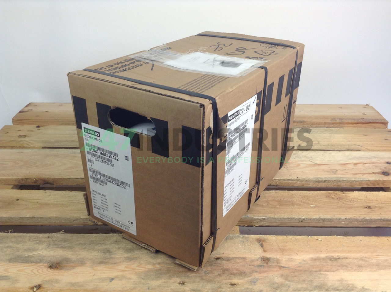 1LE1003-1AB42-2NA4 Siemens Image 4