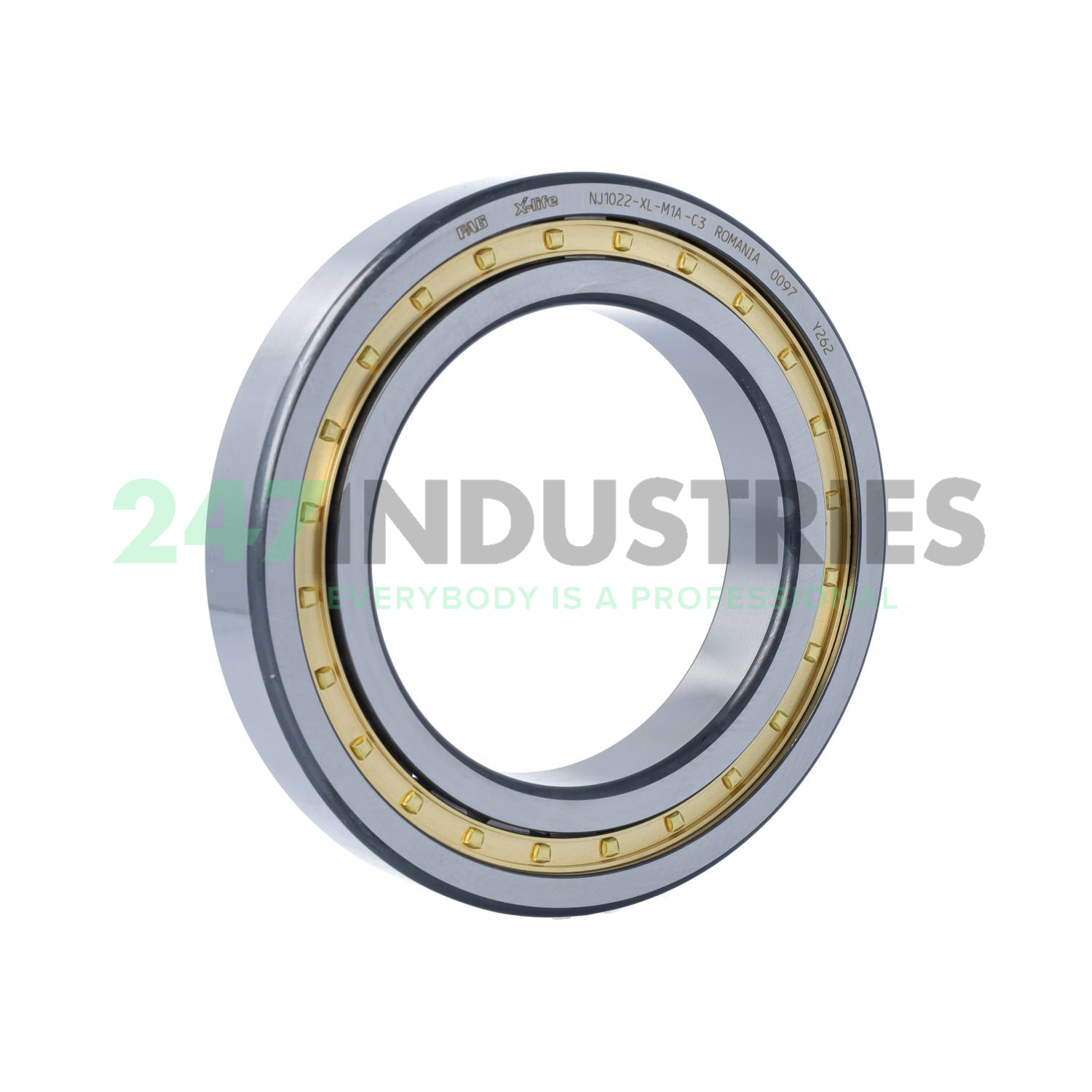 NJ1022-XL-M1A-C3 FAG