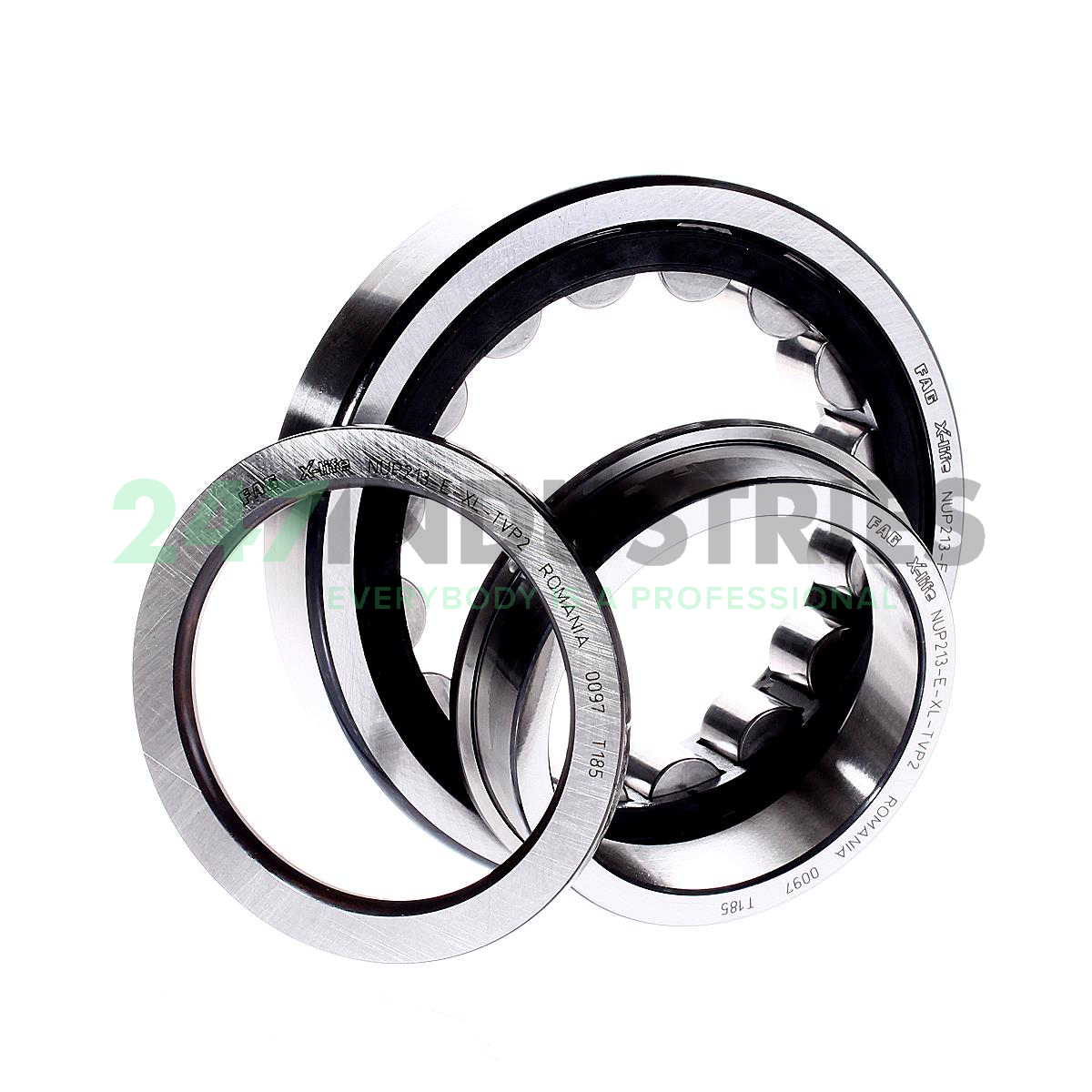 NUP213-E-XL-TVP2 FAG Image 2