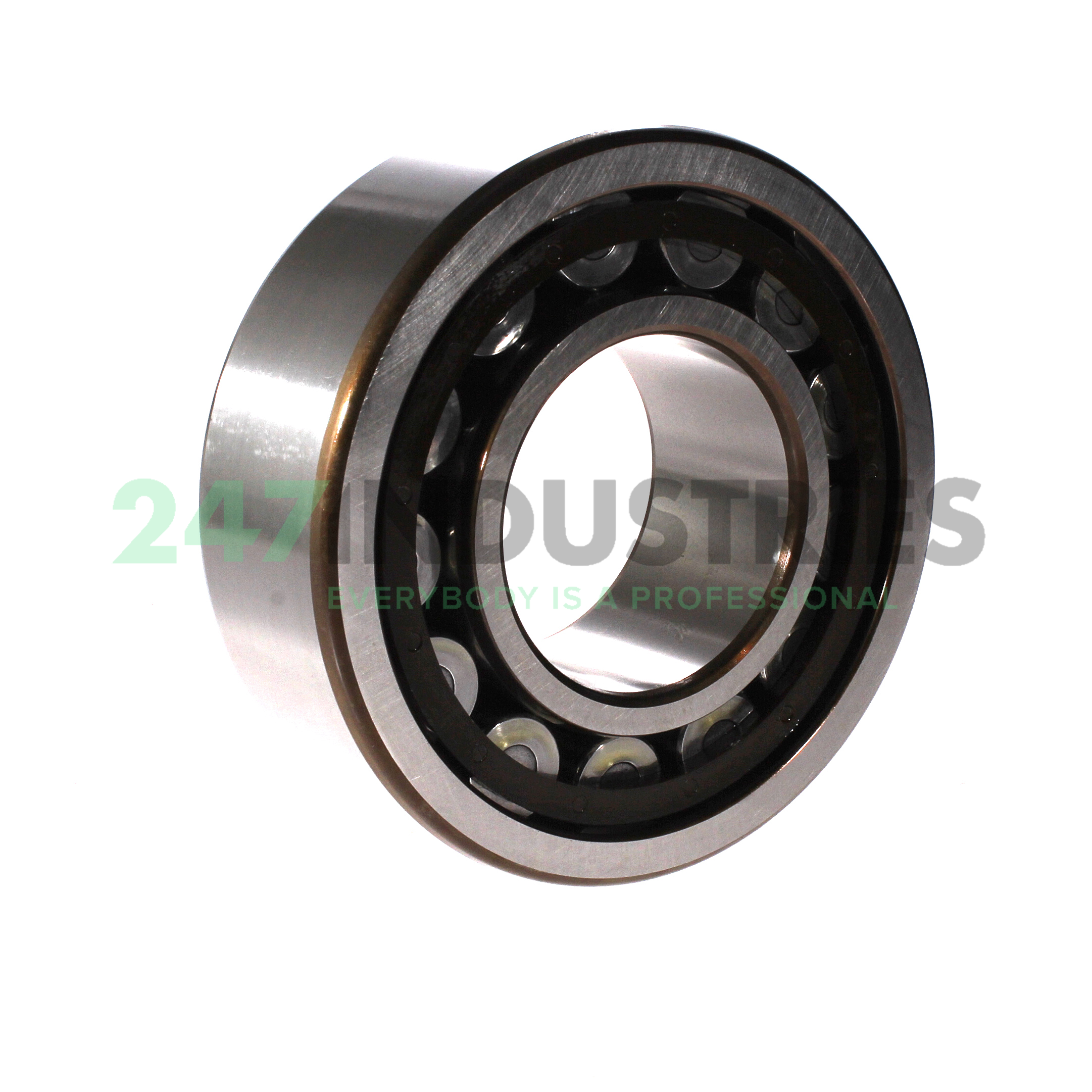 NJ2315ECP/C4 SKF Image 2