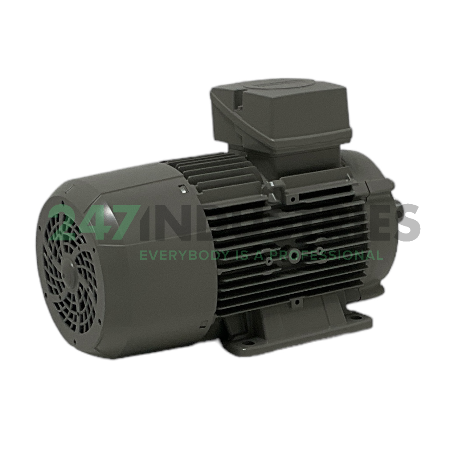 1LE1004-1AB42-2NA4 Siemens Image 4