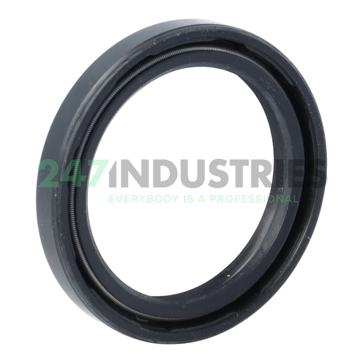 TC38X50X7 CHO Champ Oil Seals Image 2