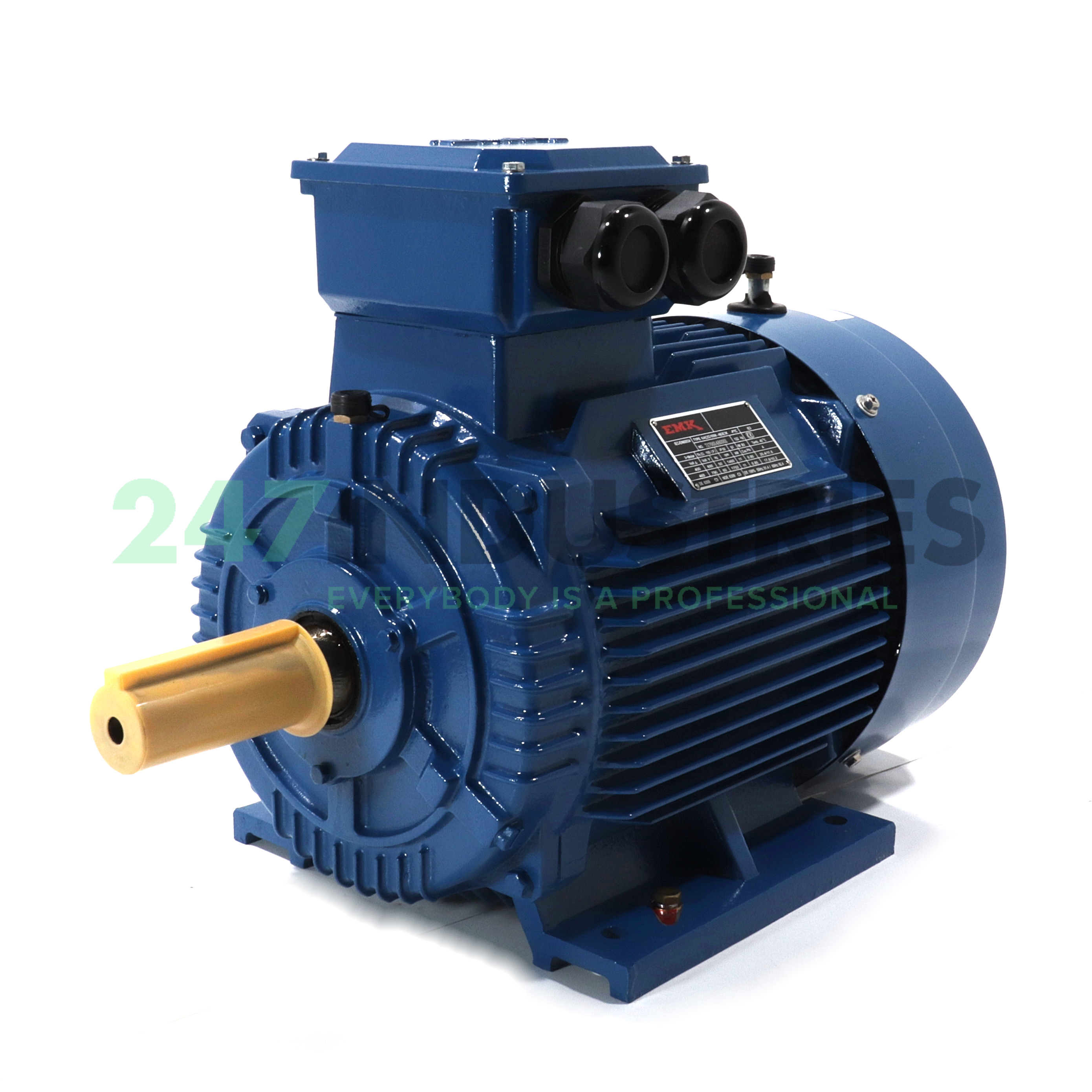 KAE2G160M-4B3E3K EMK