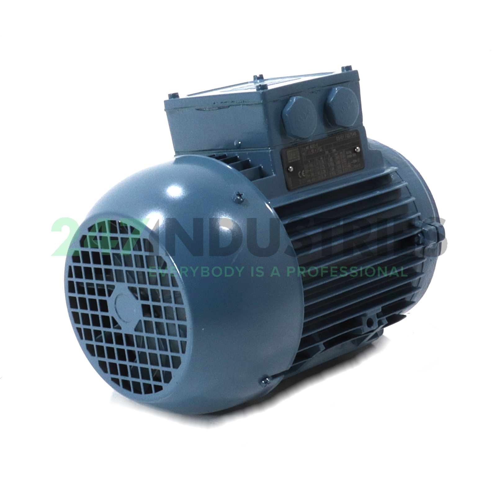 0.25K31AL0808B14 WEG Image 3