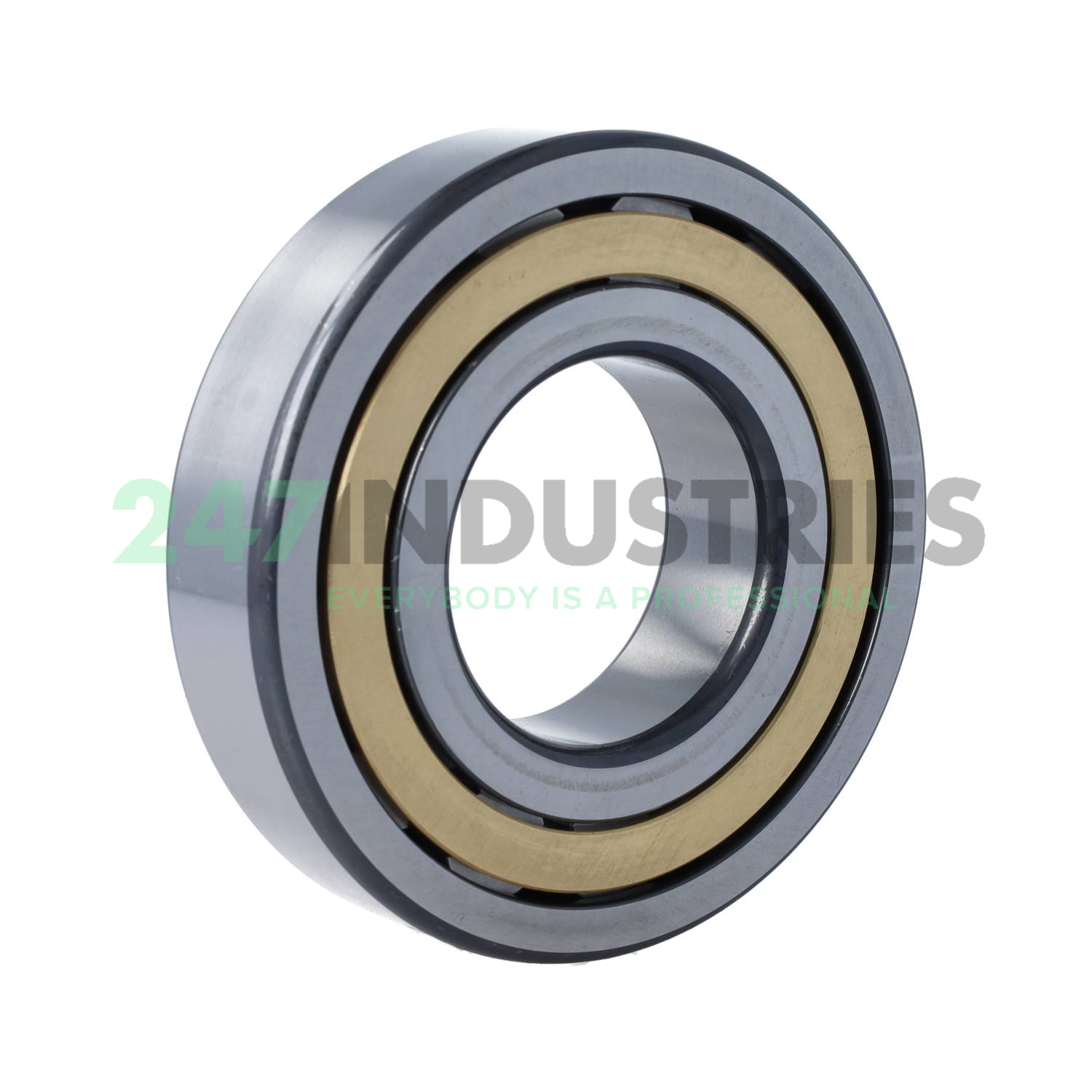 NJ313-E-XL-M1 FAG Image 2