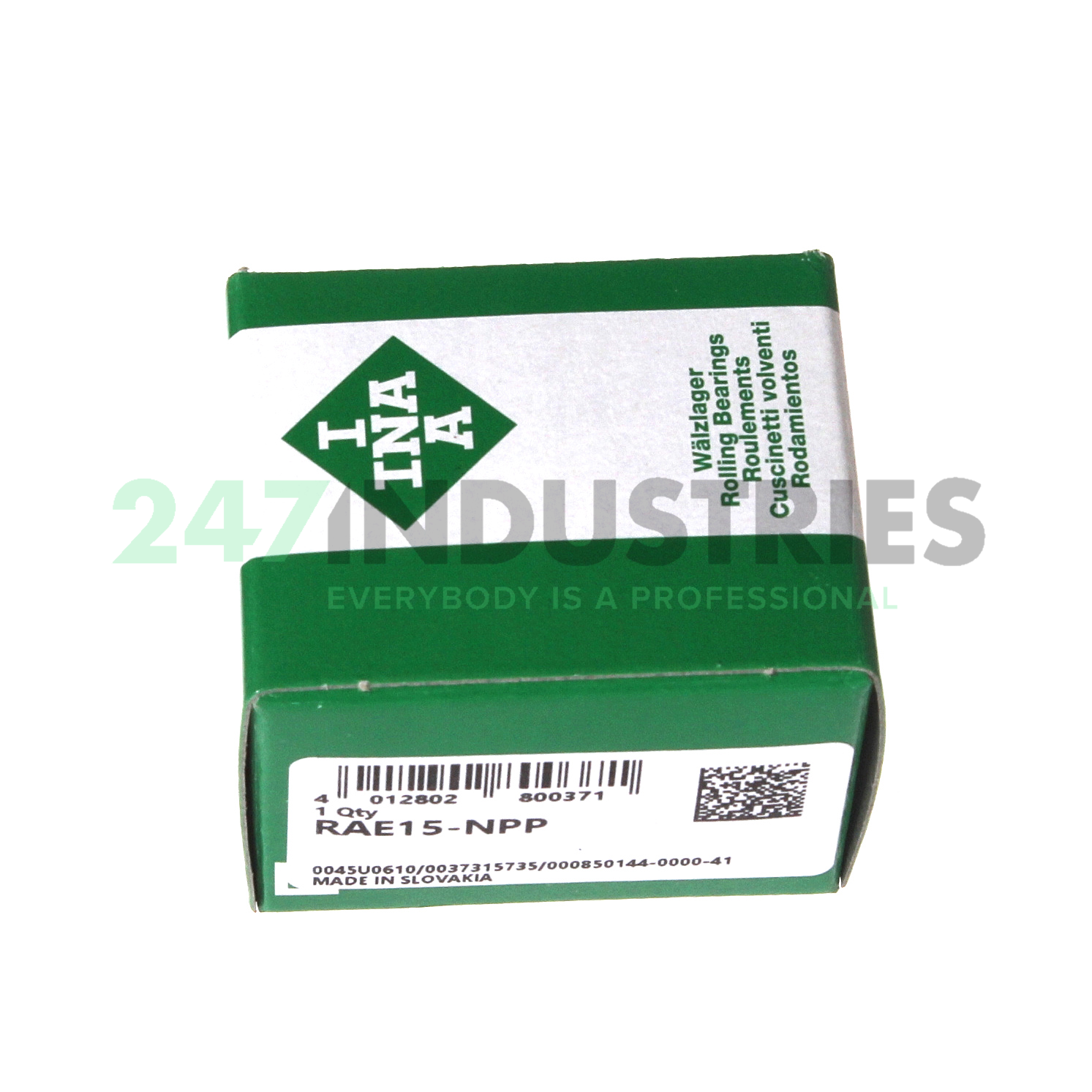 RAE15-NPP INA Image 3