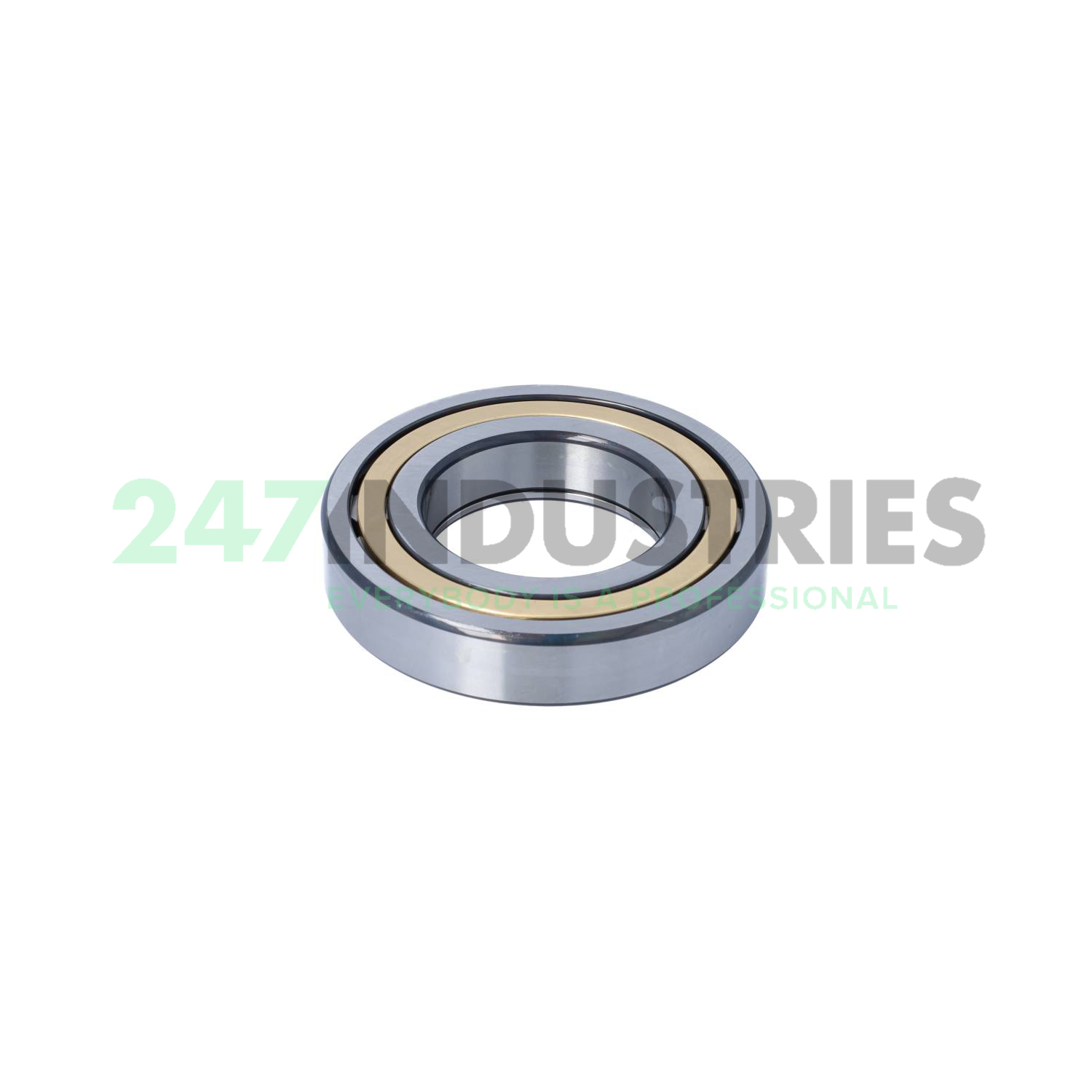 NUP213-E-XL-M1-C3 FAG Image 2