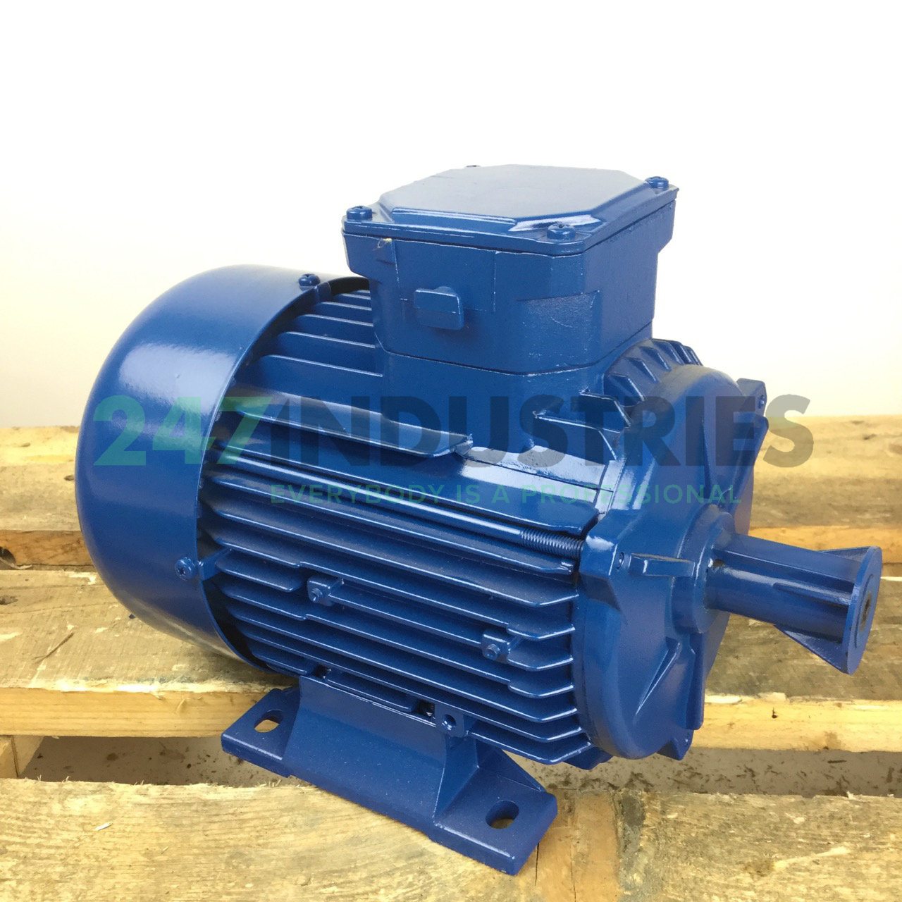 A4C0802A99517T Marelli Motori Image 3