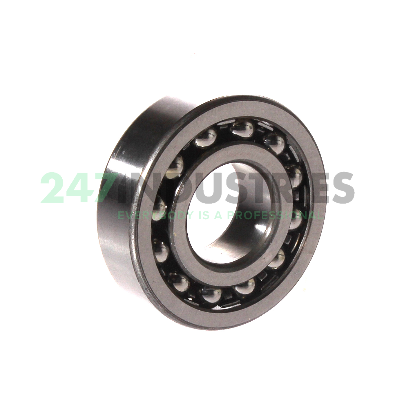 1204 SKF Image 2