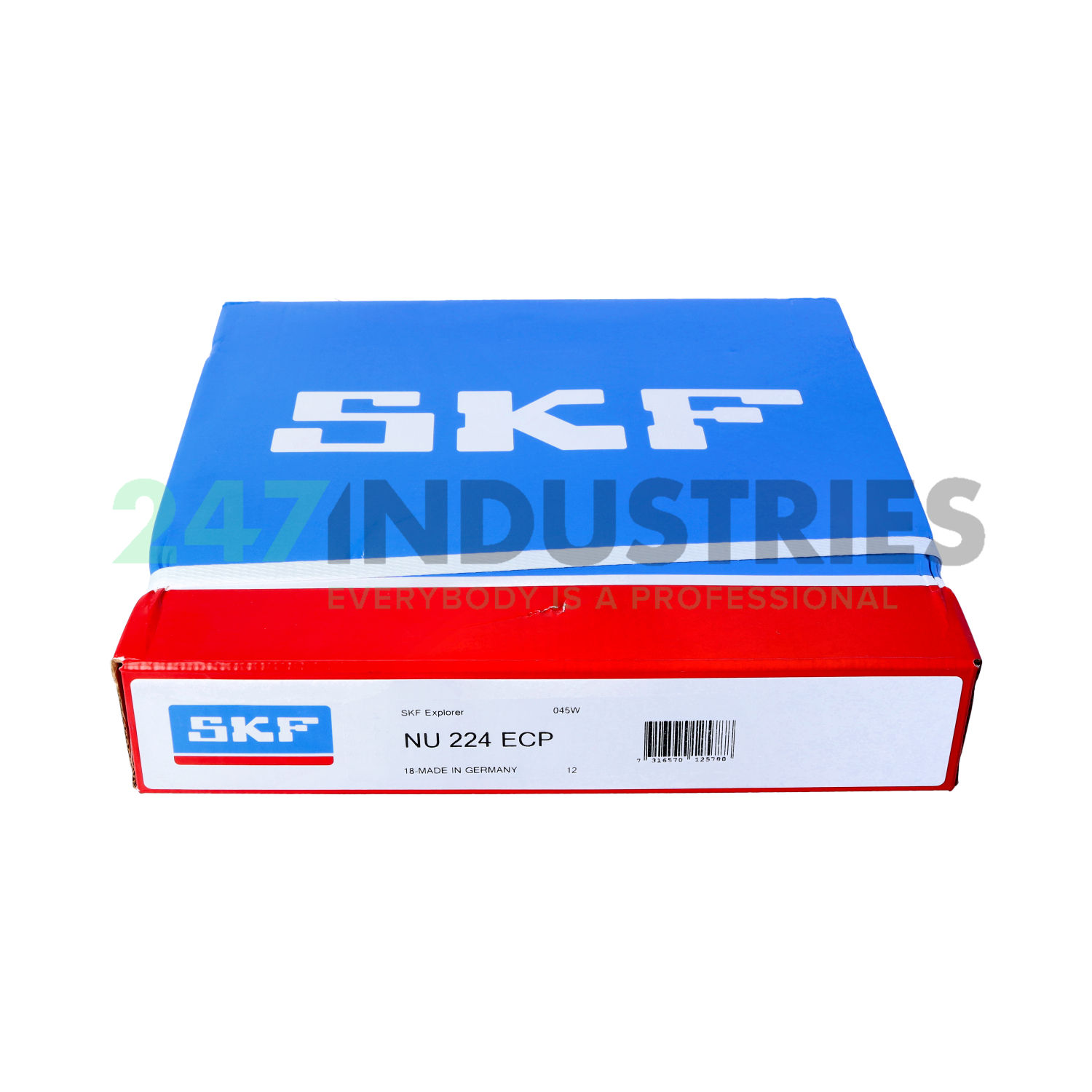 NU224ECP SKF Image 4