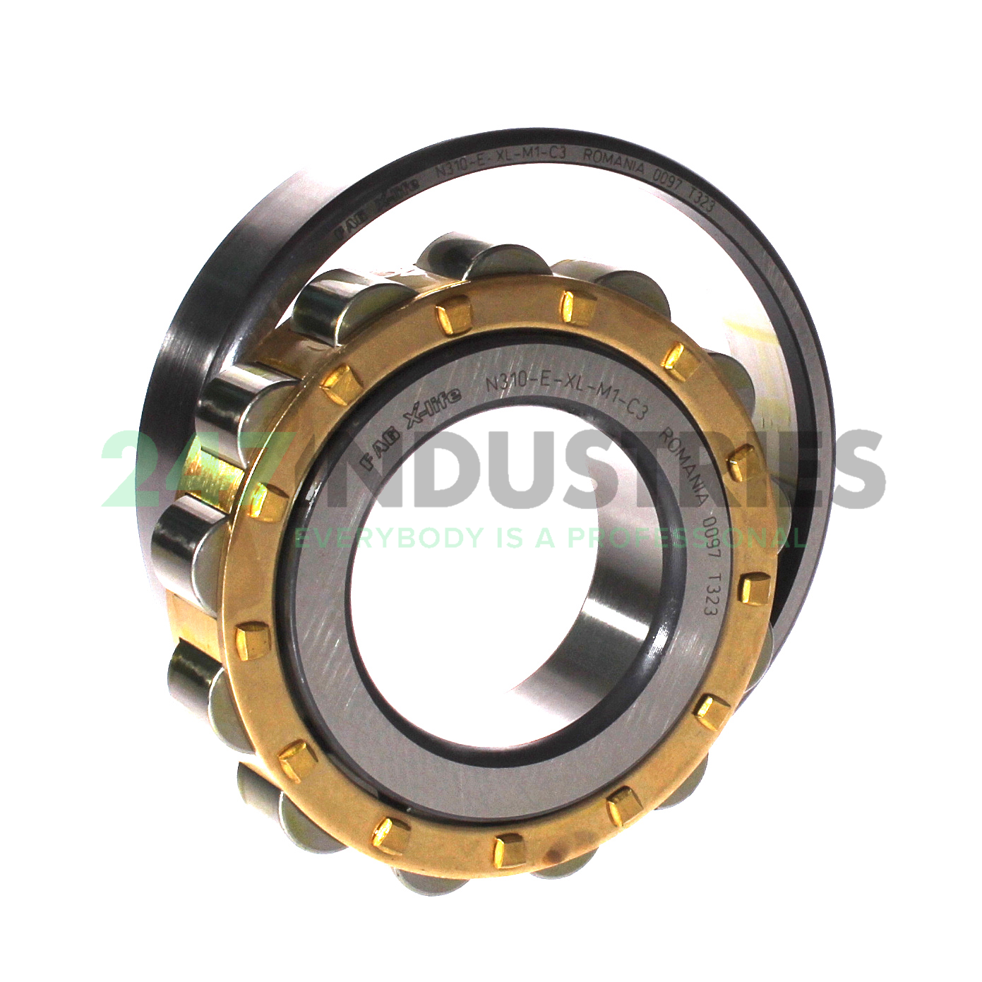 N310-E-XL-M1-C3 FAG Image 3