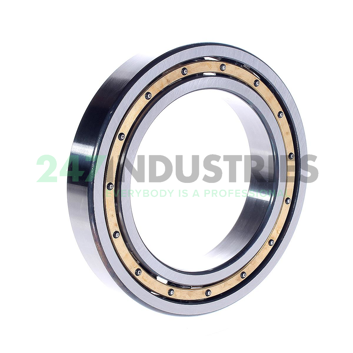 6019-M-C4 FAG Image 2