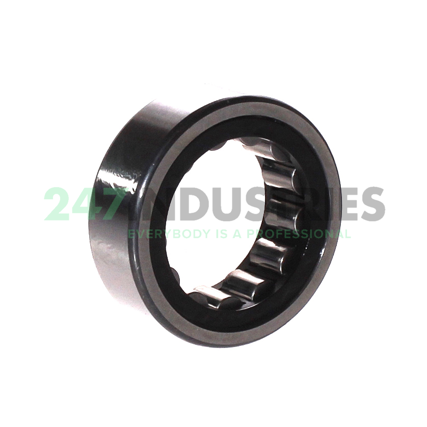 RNU2205-E-XL-TVP2 FAG Image 2