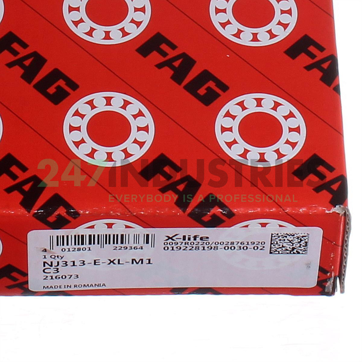 NJ313-E-XL-M1-C3 FAG Image 6