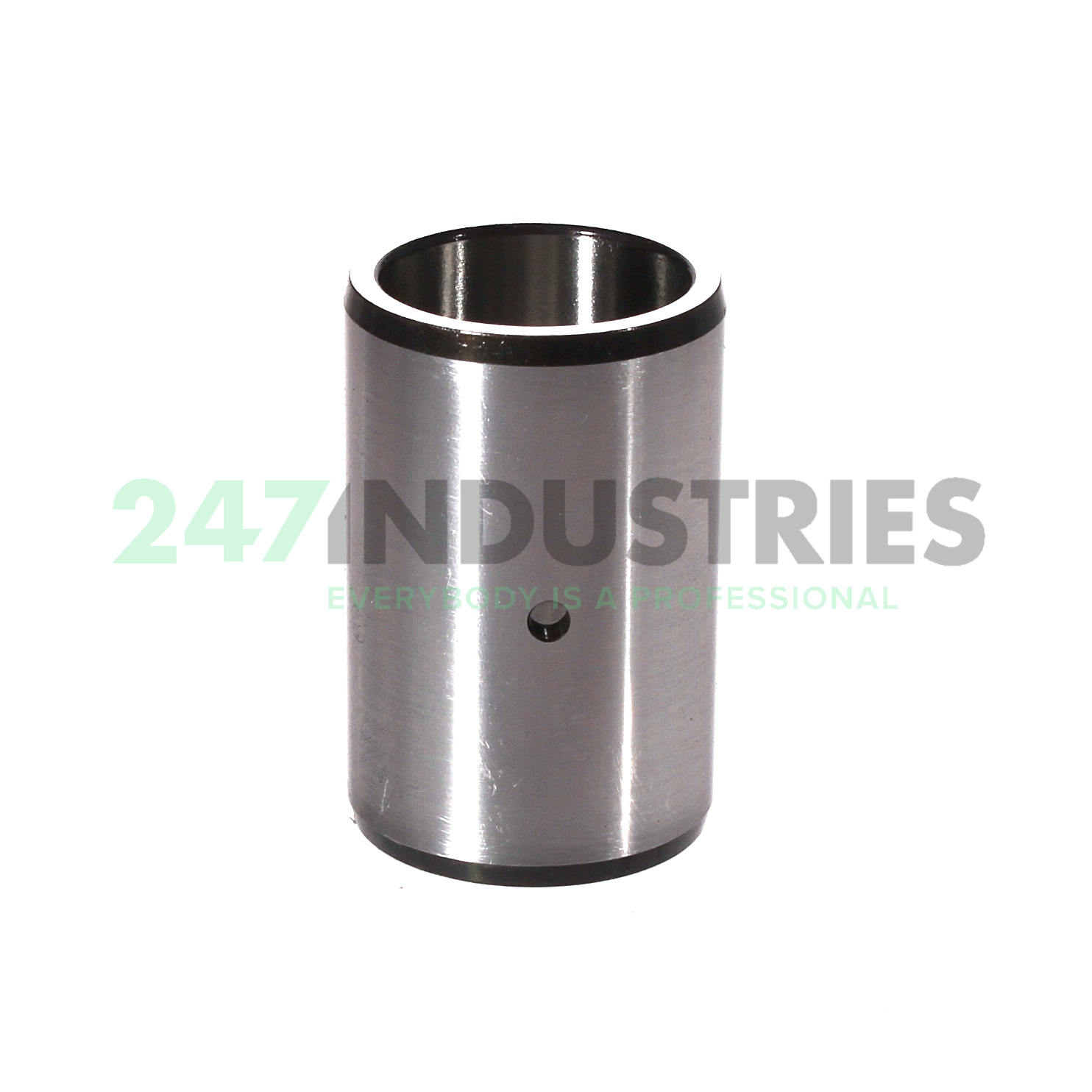 IR20X25X38,5-IS1-XL INA