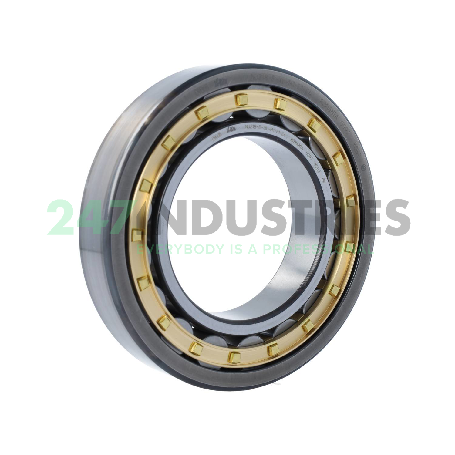 NU218-E-XL-M1-F1-C4 FAG