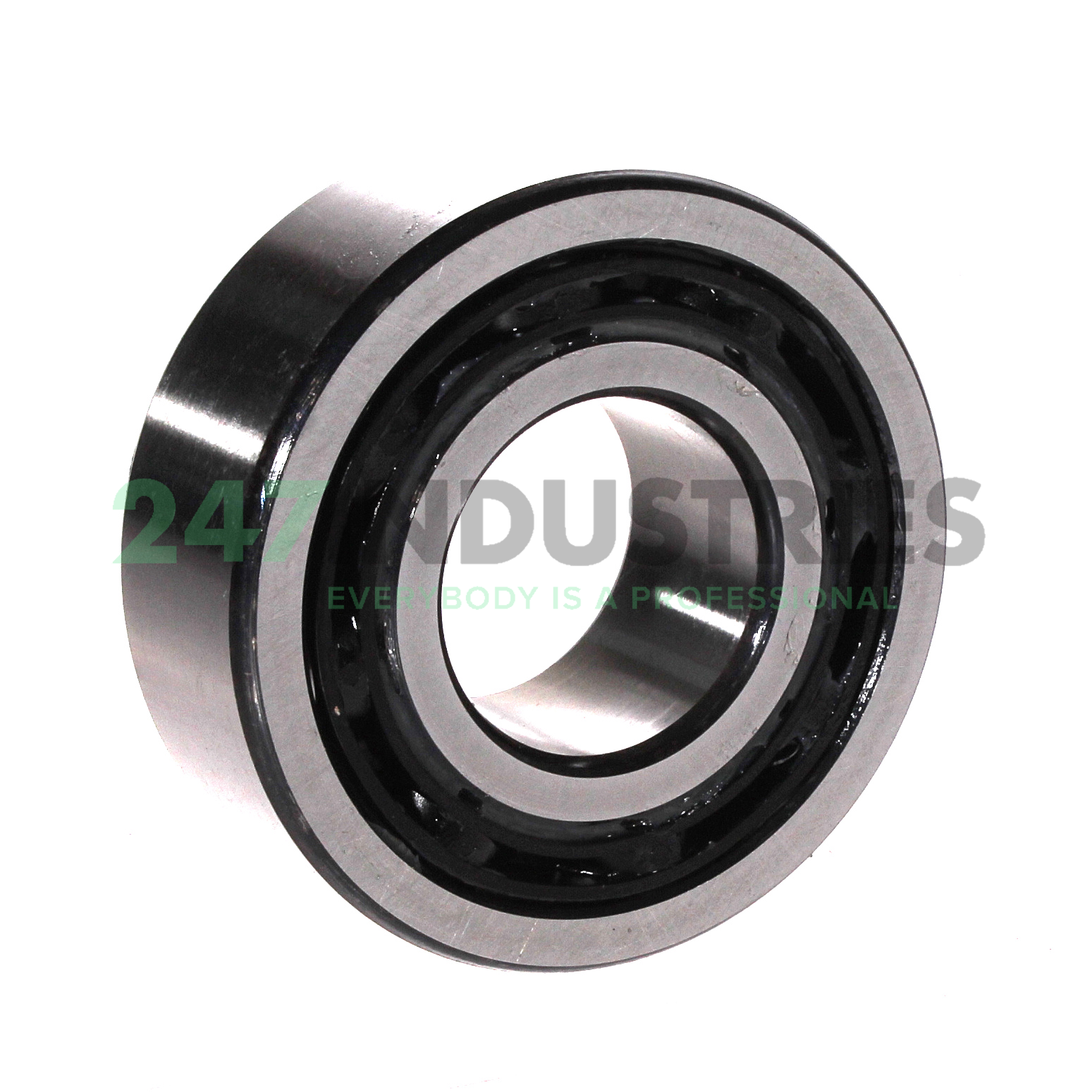 4308BTNG NSK Image 2