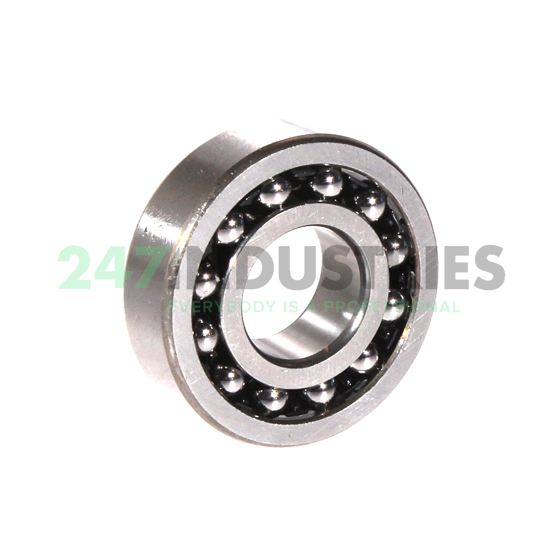 1203 NSK Image 2