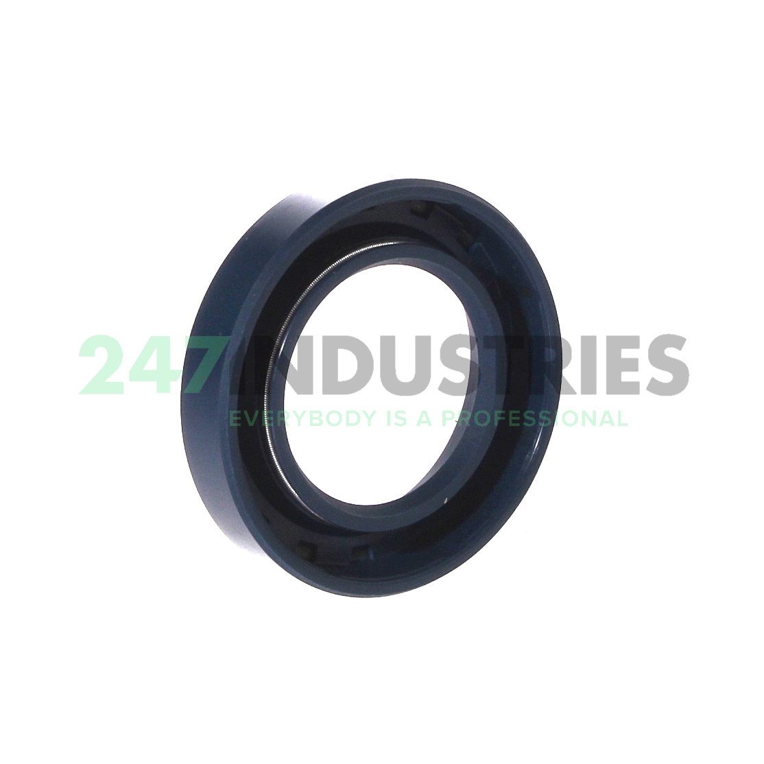 BAD30X50X10 Freudenberg Image 2