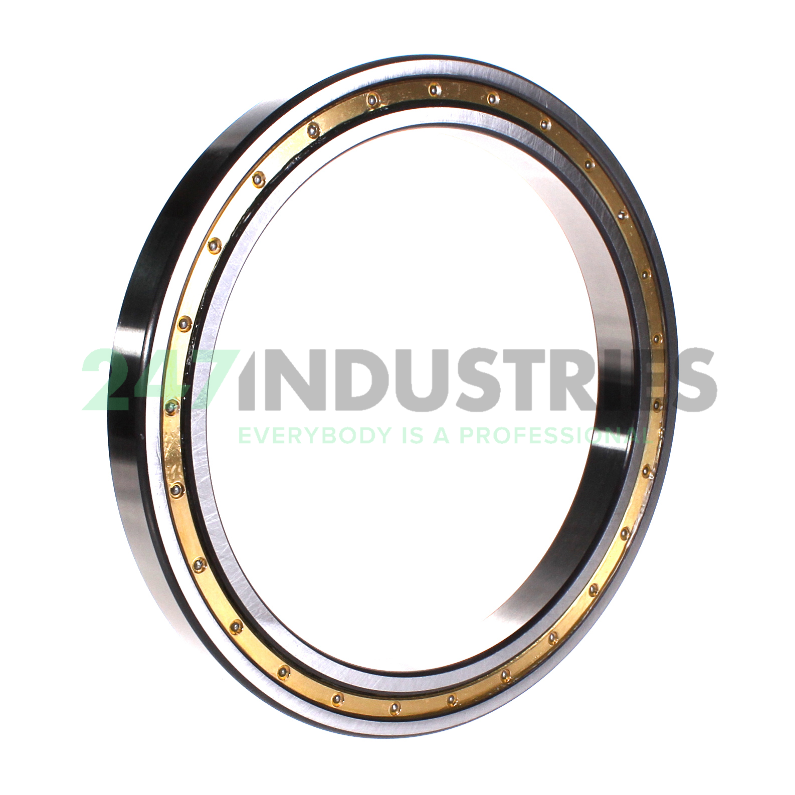 61838-MA FAG Image 2