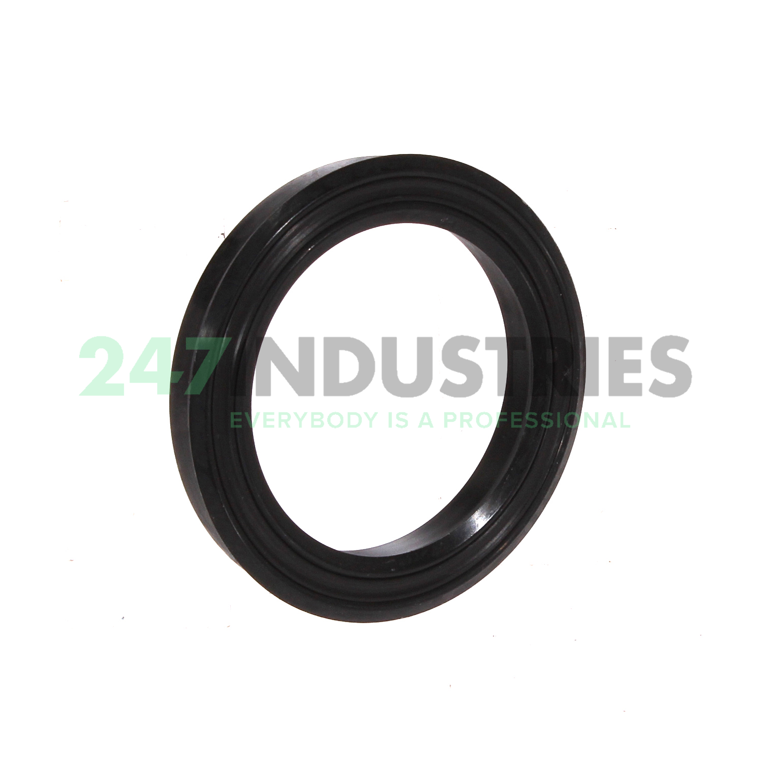 PTB312-1875-375-J1S SKF
