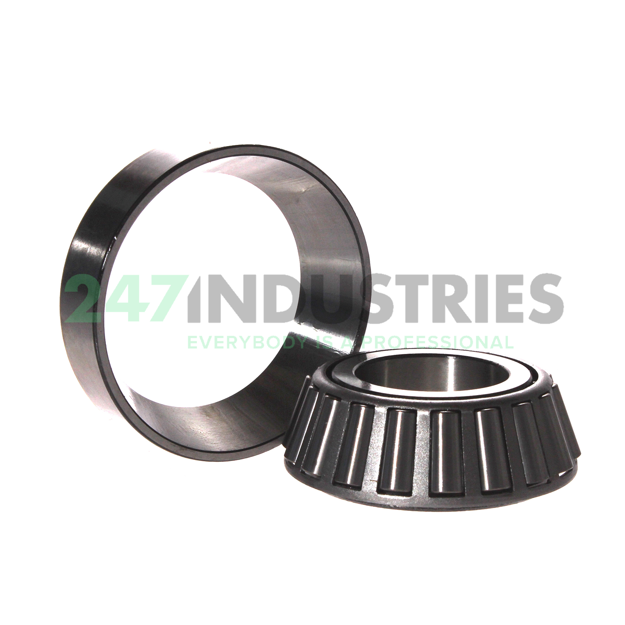 SET219 Timken Image 2