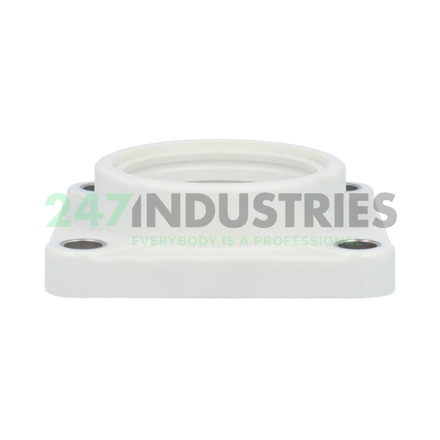 TFL205-WHITE ANB Bearings ltd. Image 2