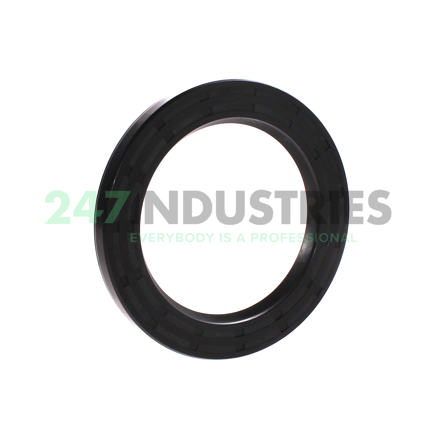 SC95X135X13 CHO Champ Oil Seals
