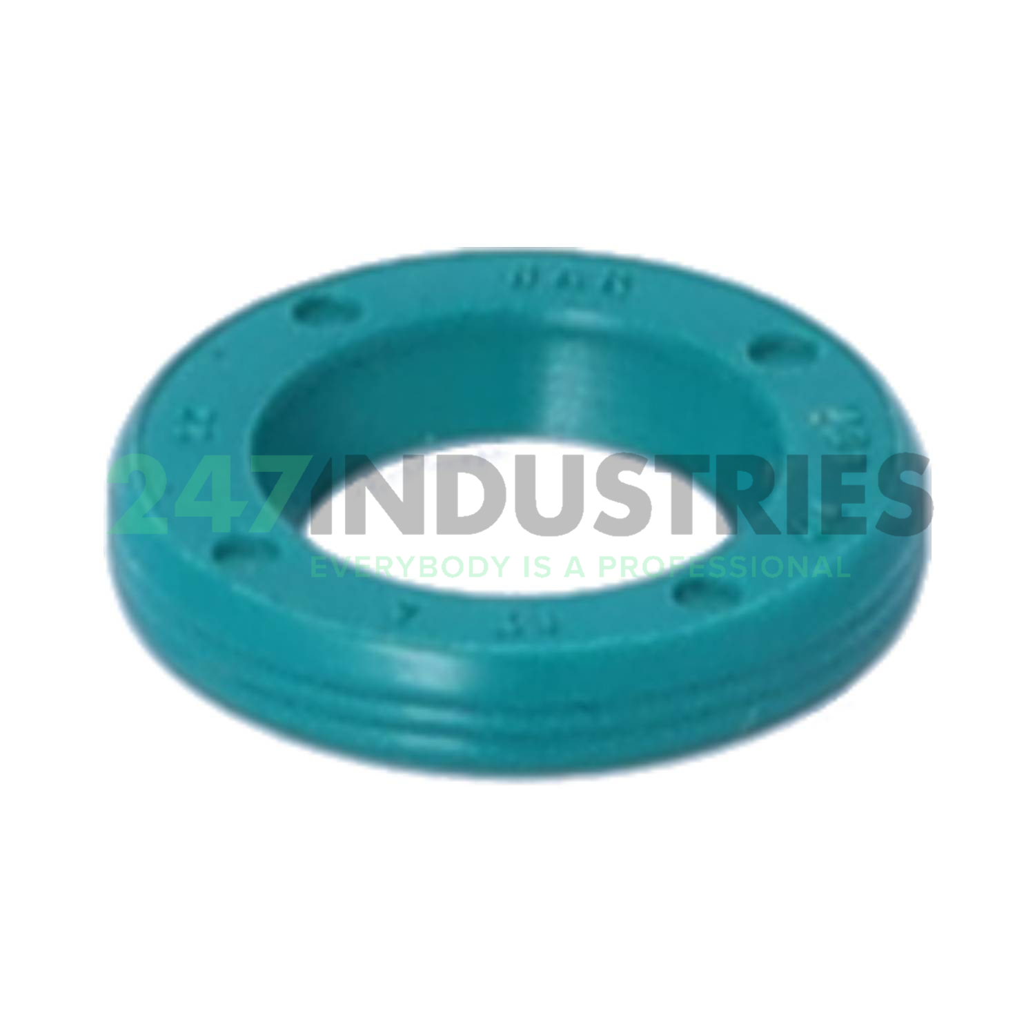 VG1 10X17X3 NAK Sealing Technologies