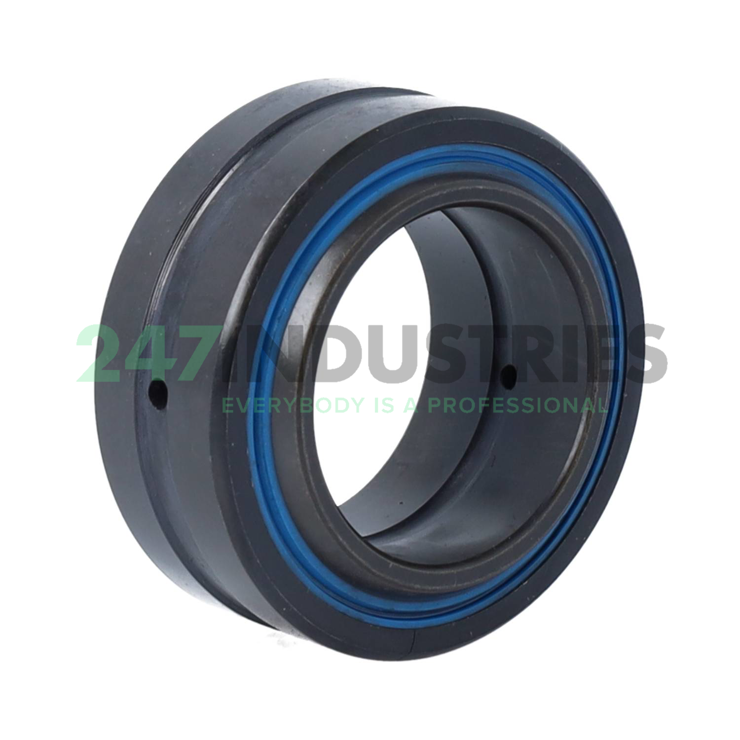 GE30-DO-2RS-E INA Image 2