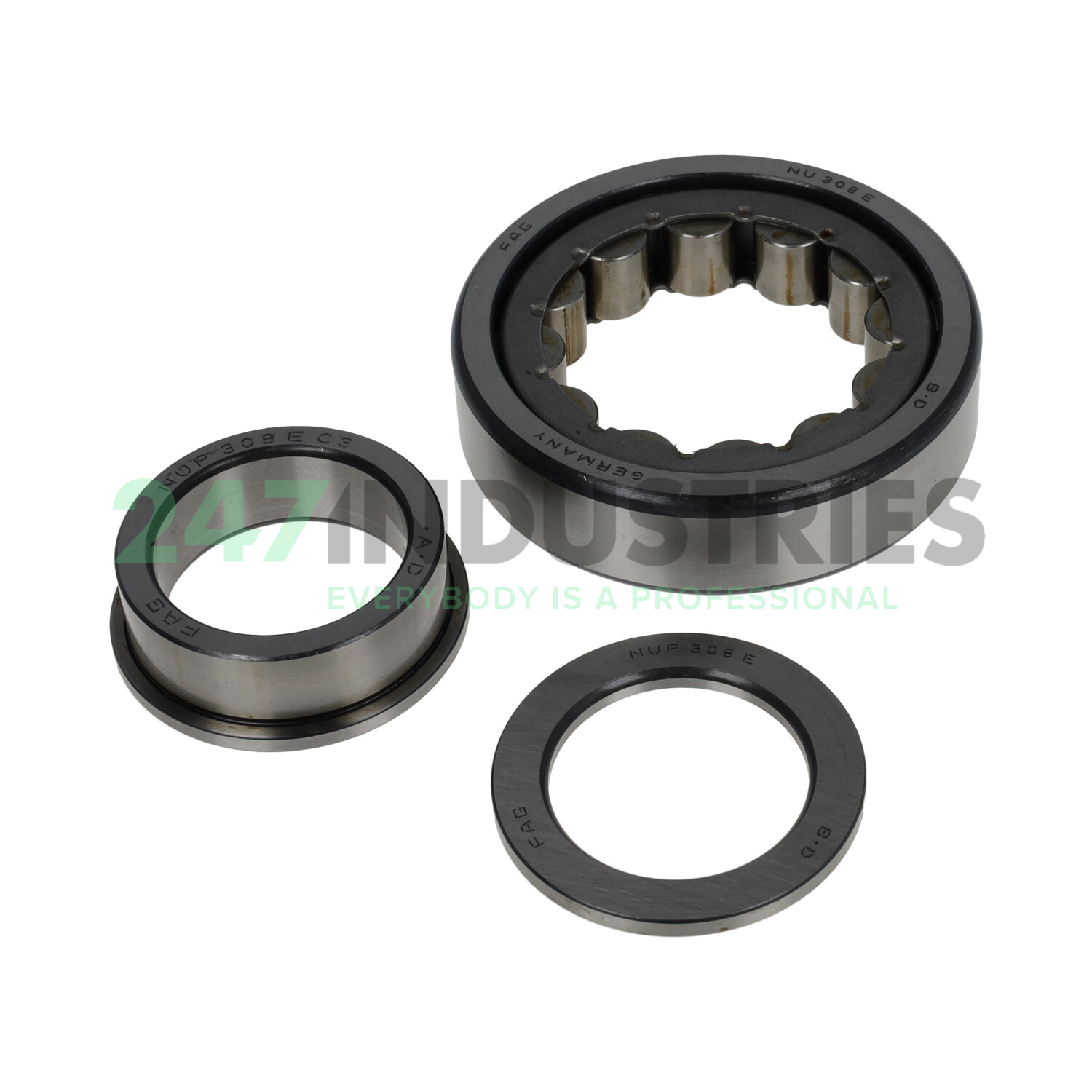 NUP308E.JP1.C3 FAG Image 2