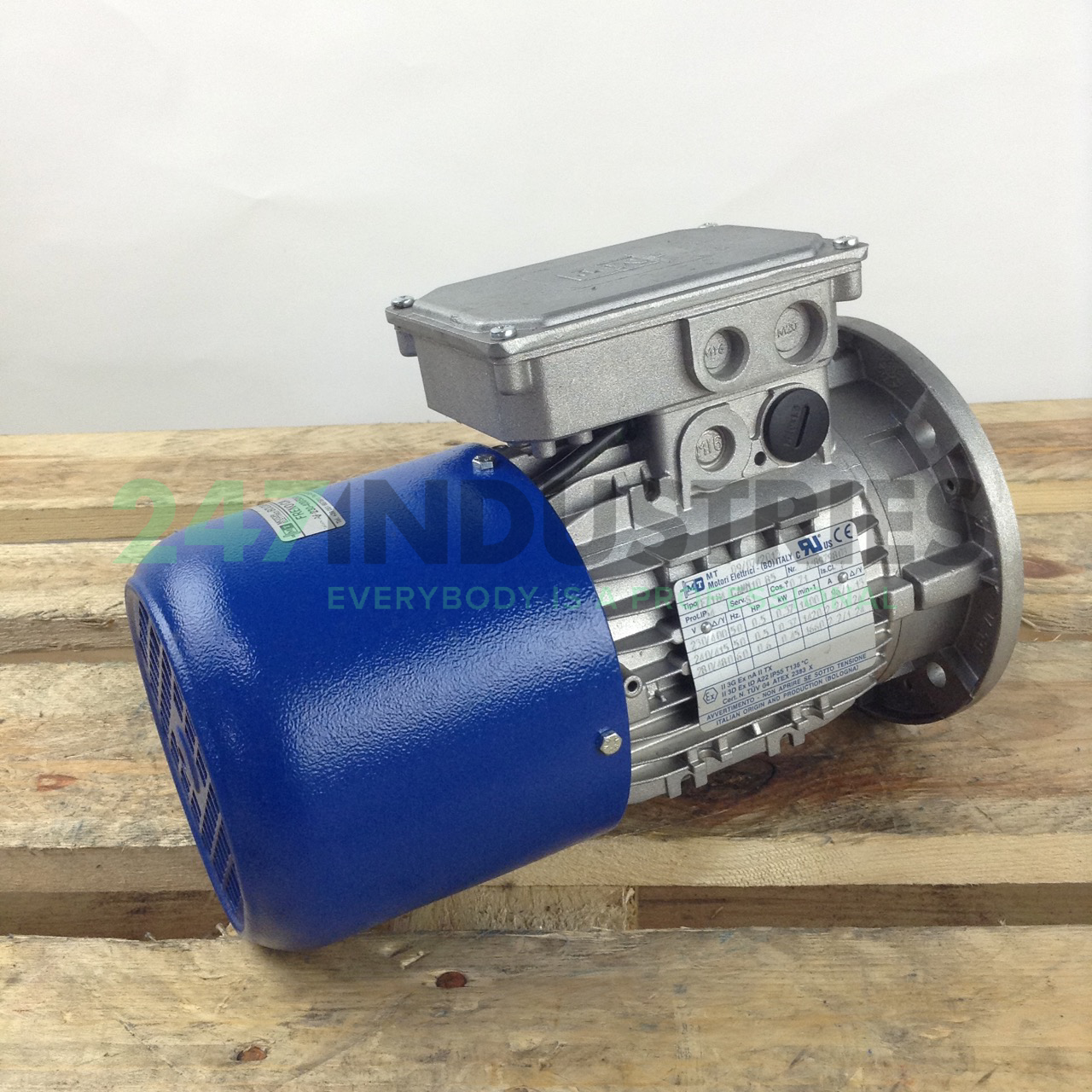 TF71B/4-CANM10-B5 MT Motori Elettrici Image 4