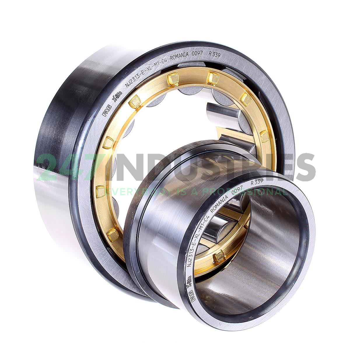 NJ2313-E-XL-M1-C4 FAG Image 3